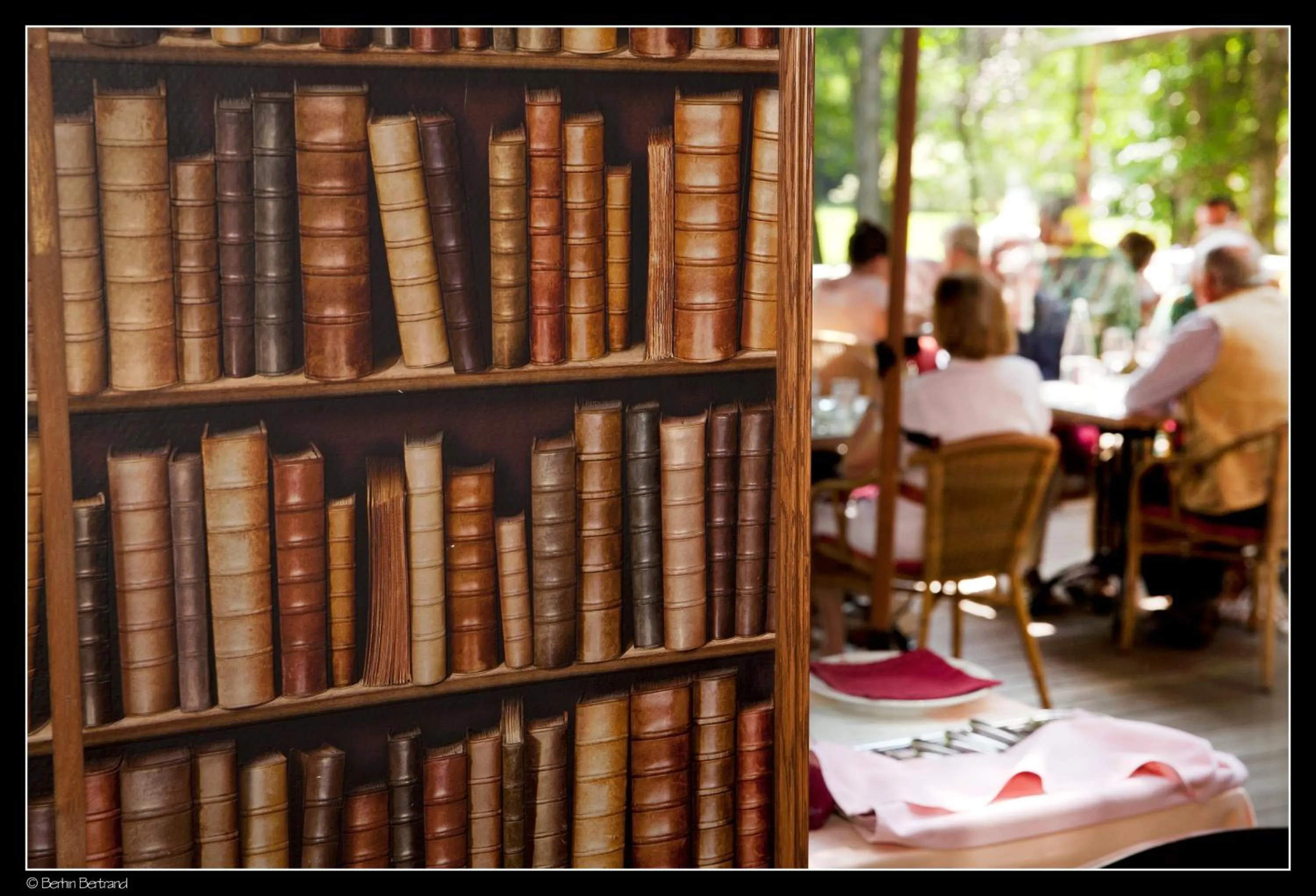 Library in Auberge De La Gaichel
