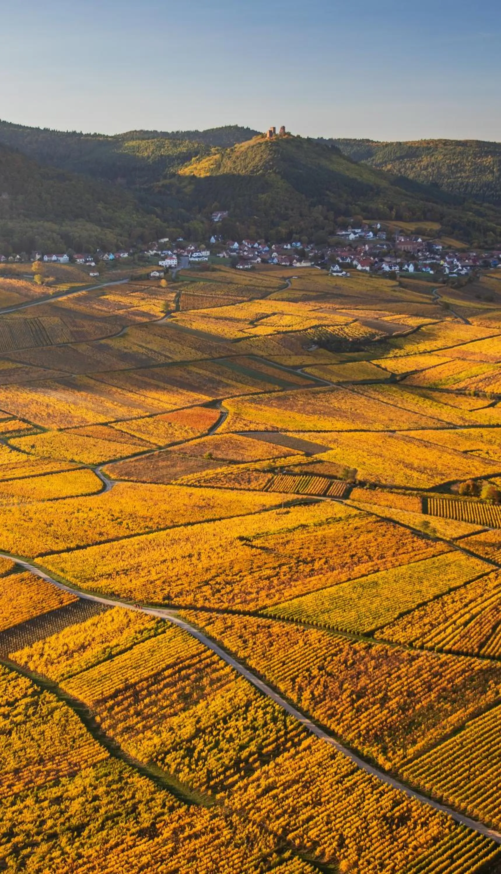 Nearby landmark in Hôtel Restaurant La Vallée Noble, proche Eguisheim Colmar