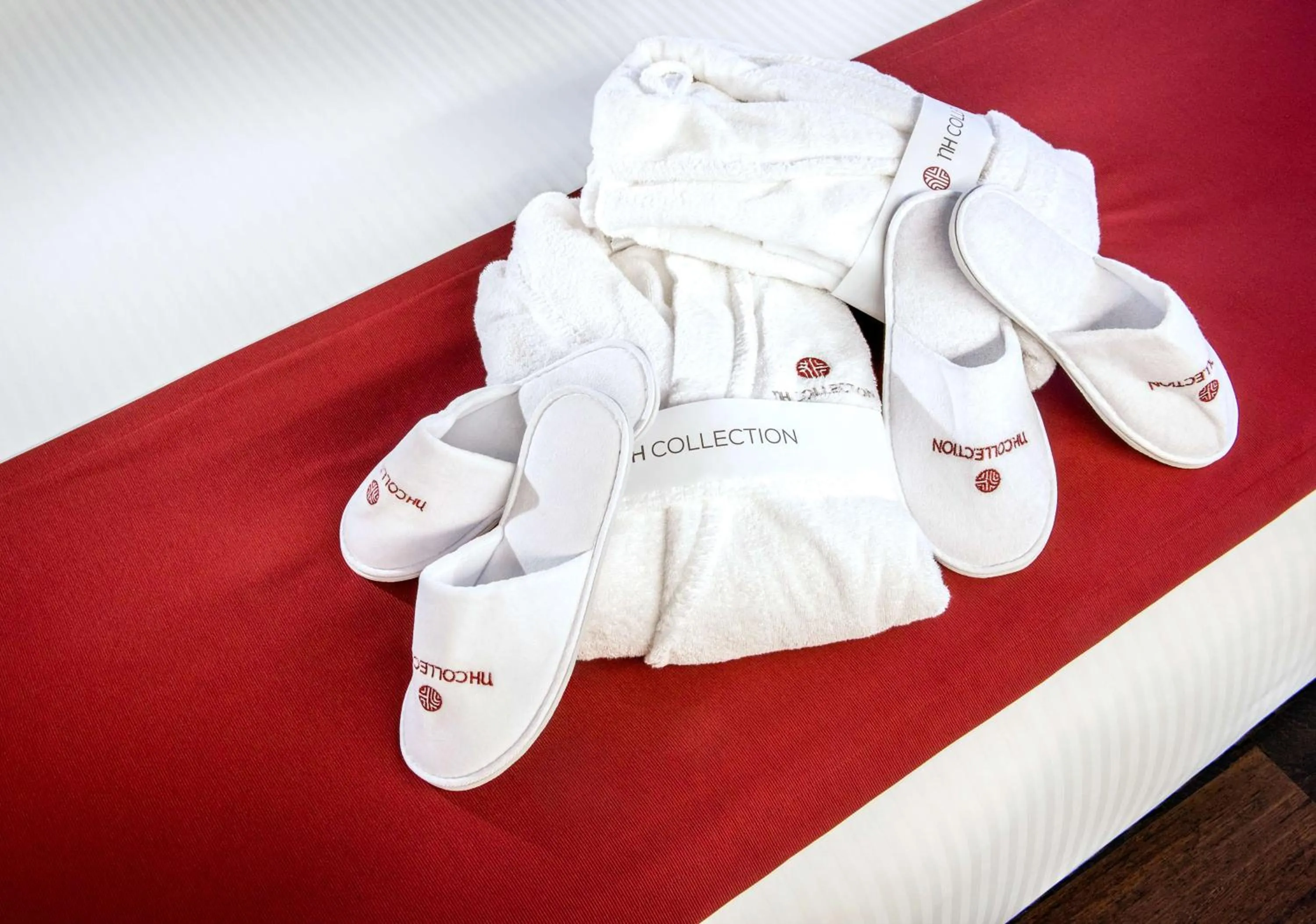 Other in NH Collection Olomouc Congress