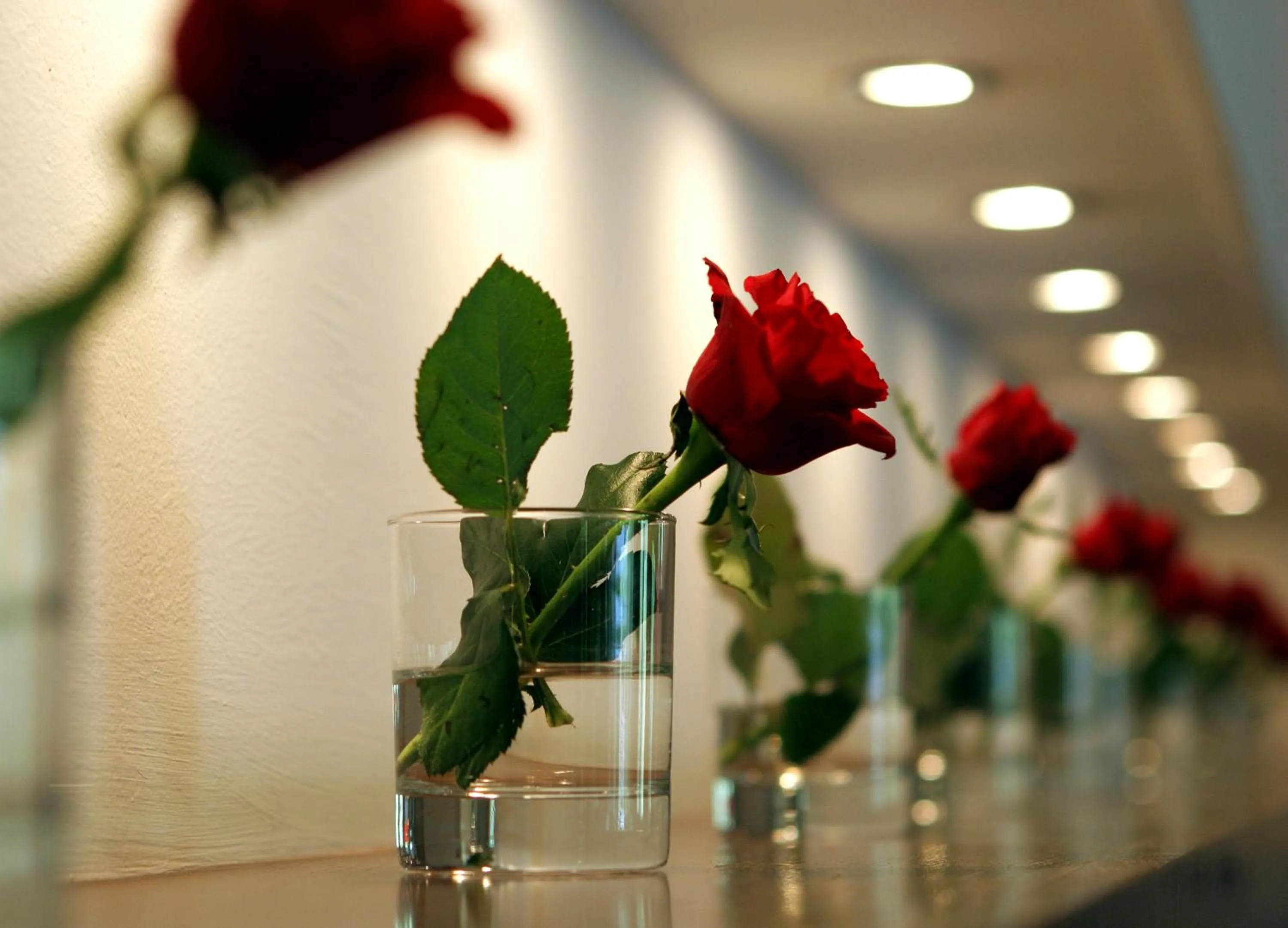 Decorative detail in Hotel Antonios