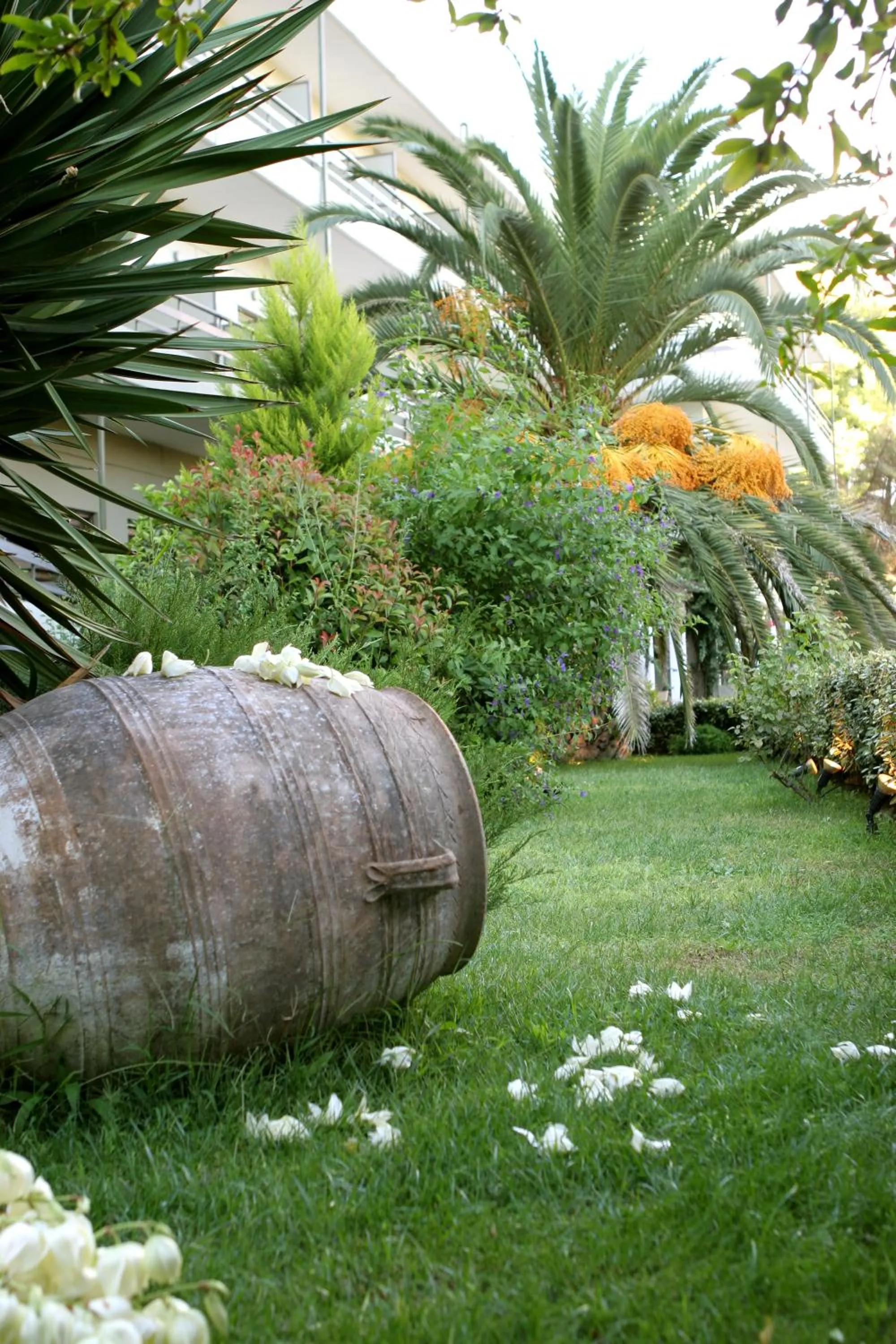 Garden in Hotel Antonios