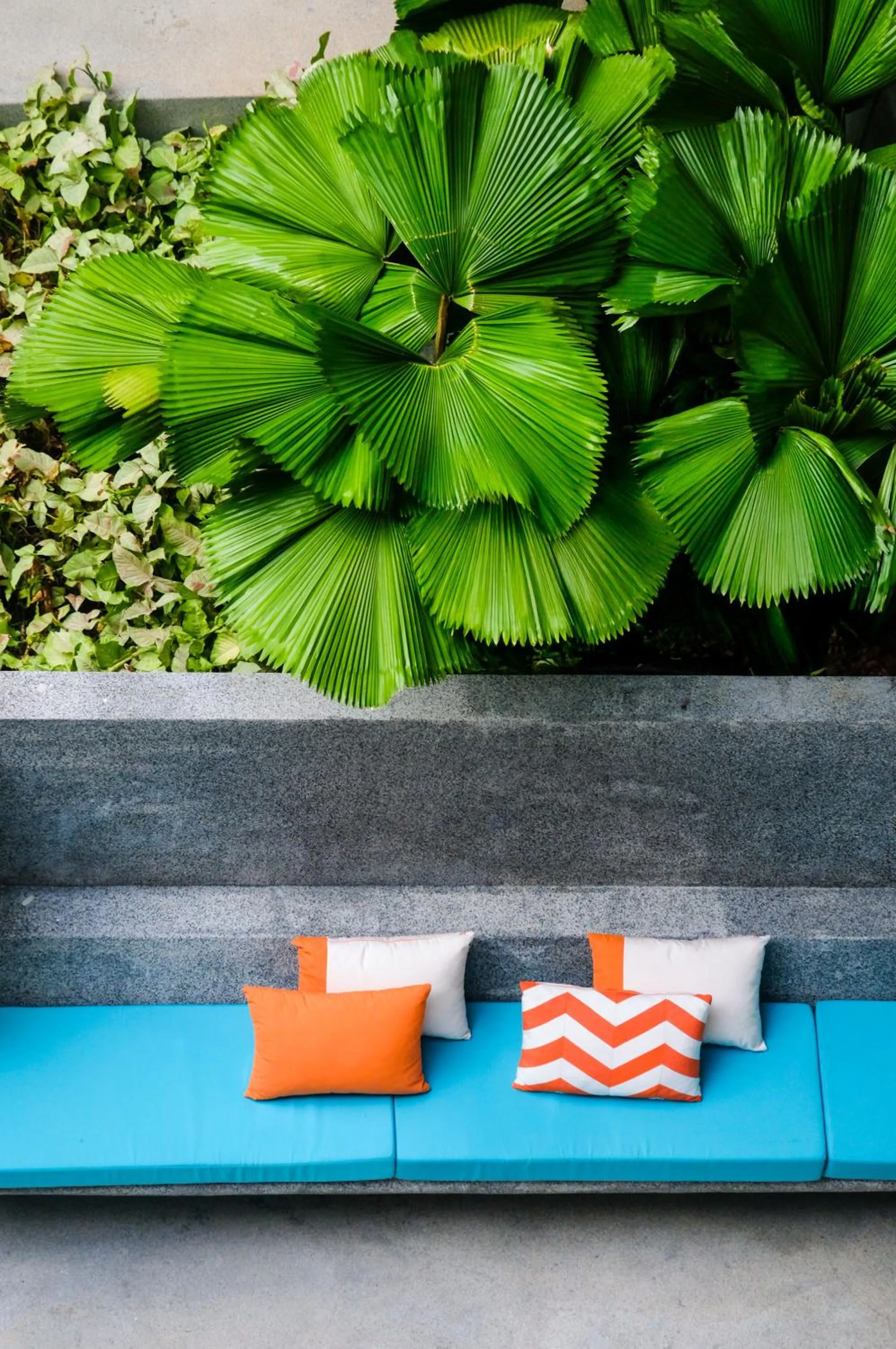 The SIS Kata Resort - Adult Only