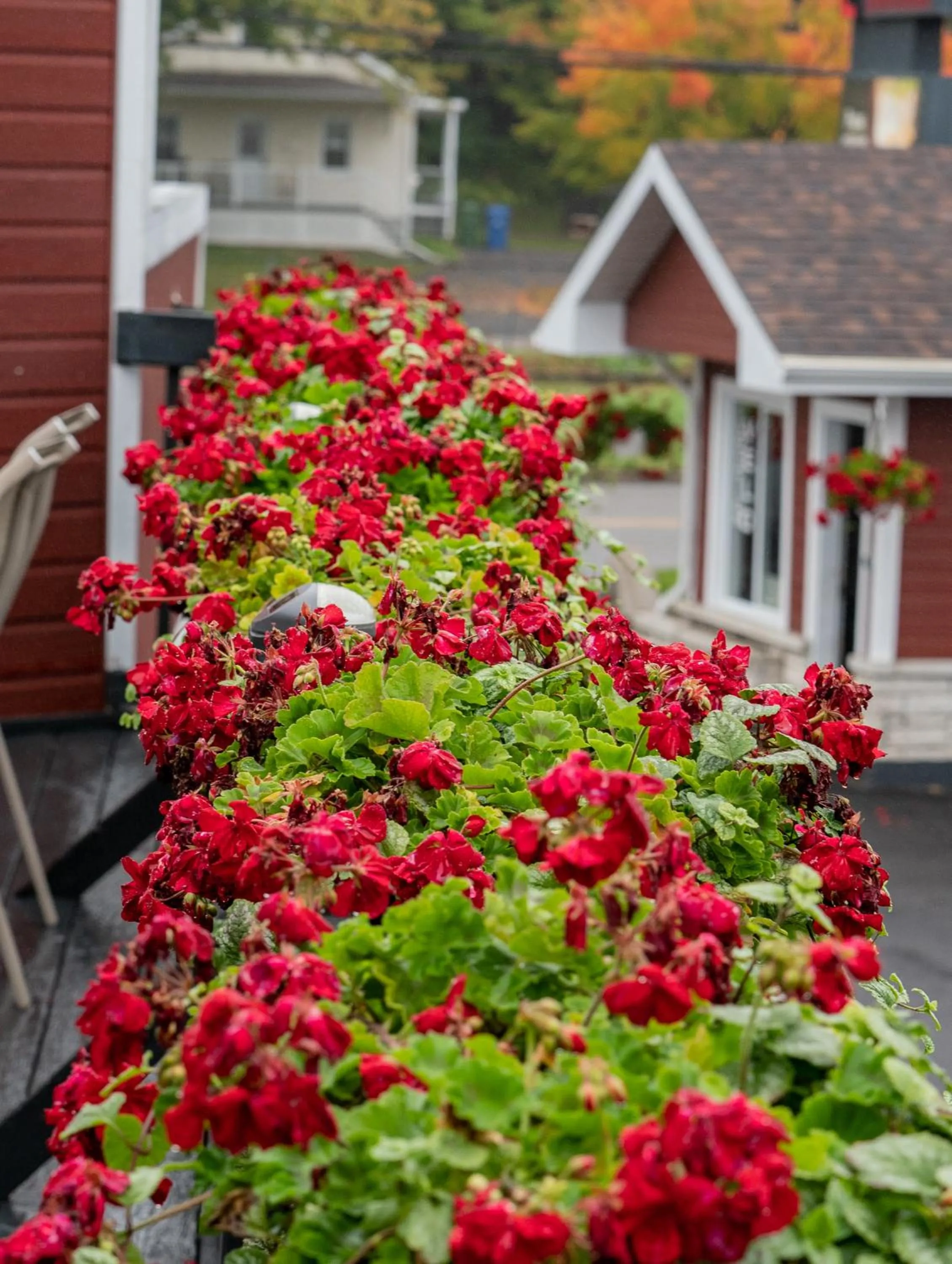 Balcony/Terrace in Hotel et Motel Le Chateauguay