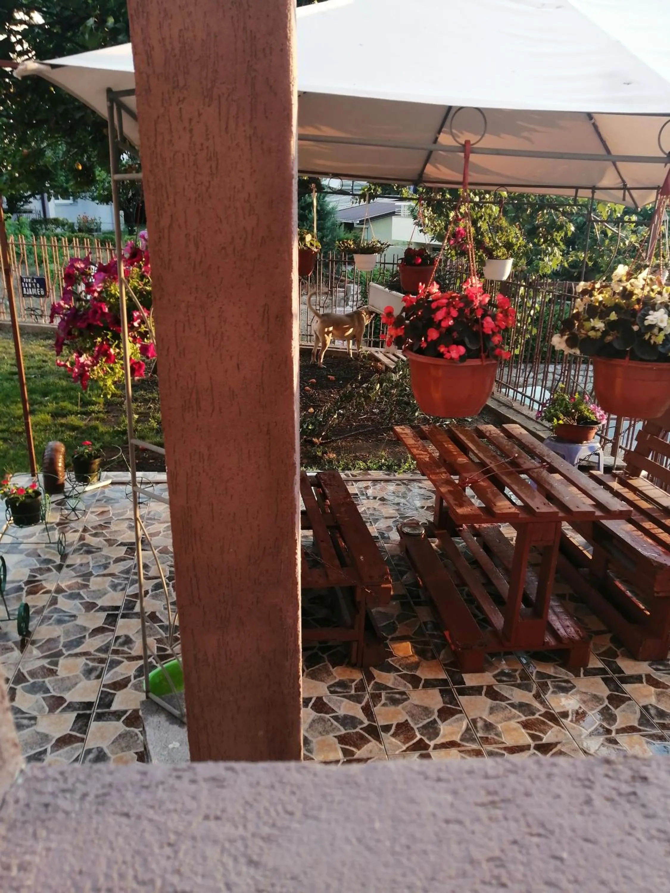 Patio in Apartments Grande House