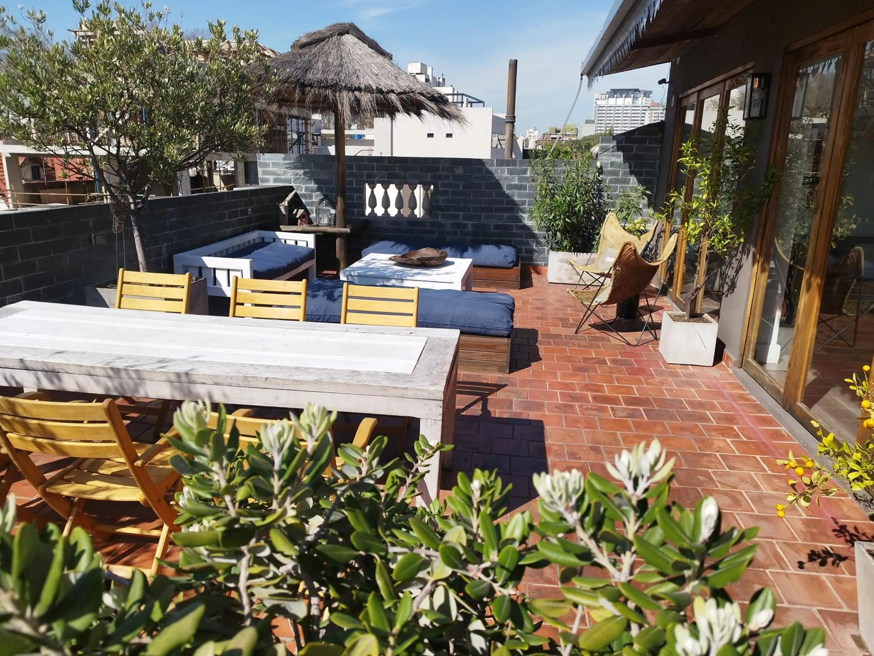 Balcony/Terrace in Hotel Costa Rica
