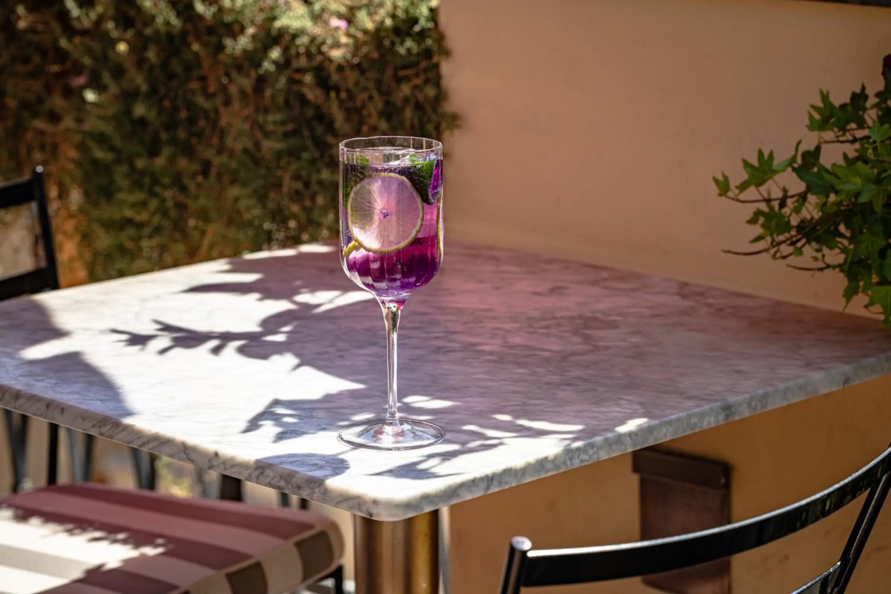 Lounge or bar in 9Hotel Cesari Lounge or bar in 9Hotel Cesari