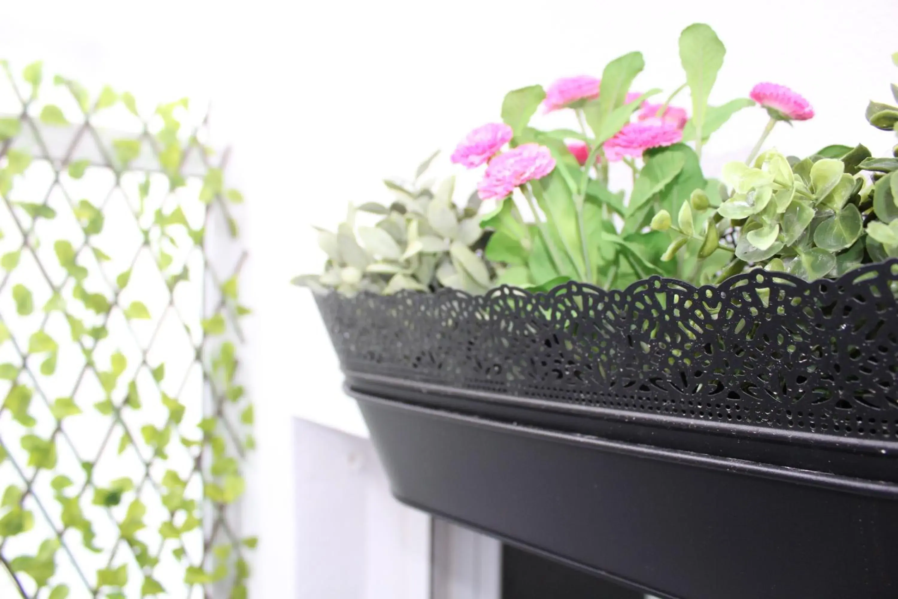 Superior Twin Room in Vinnus Guesthouse Superior Twin Room in Vinnus Guesthouse