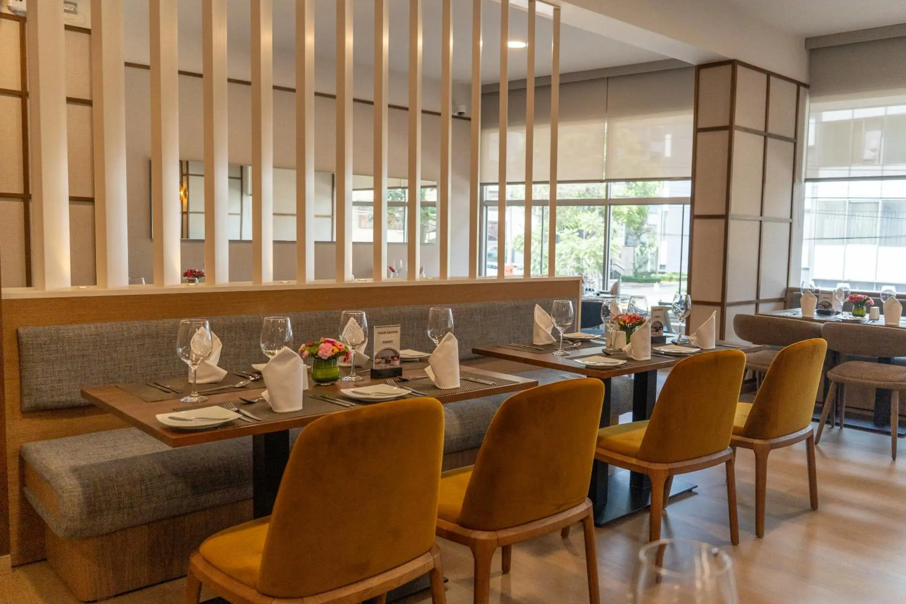 Restaurant/places to eat in Hotel Jose Antonio Restaurant/places to eat in Hotel Jose Antonio