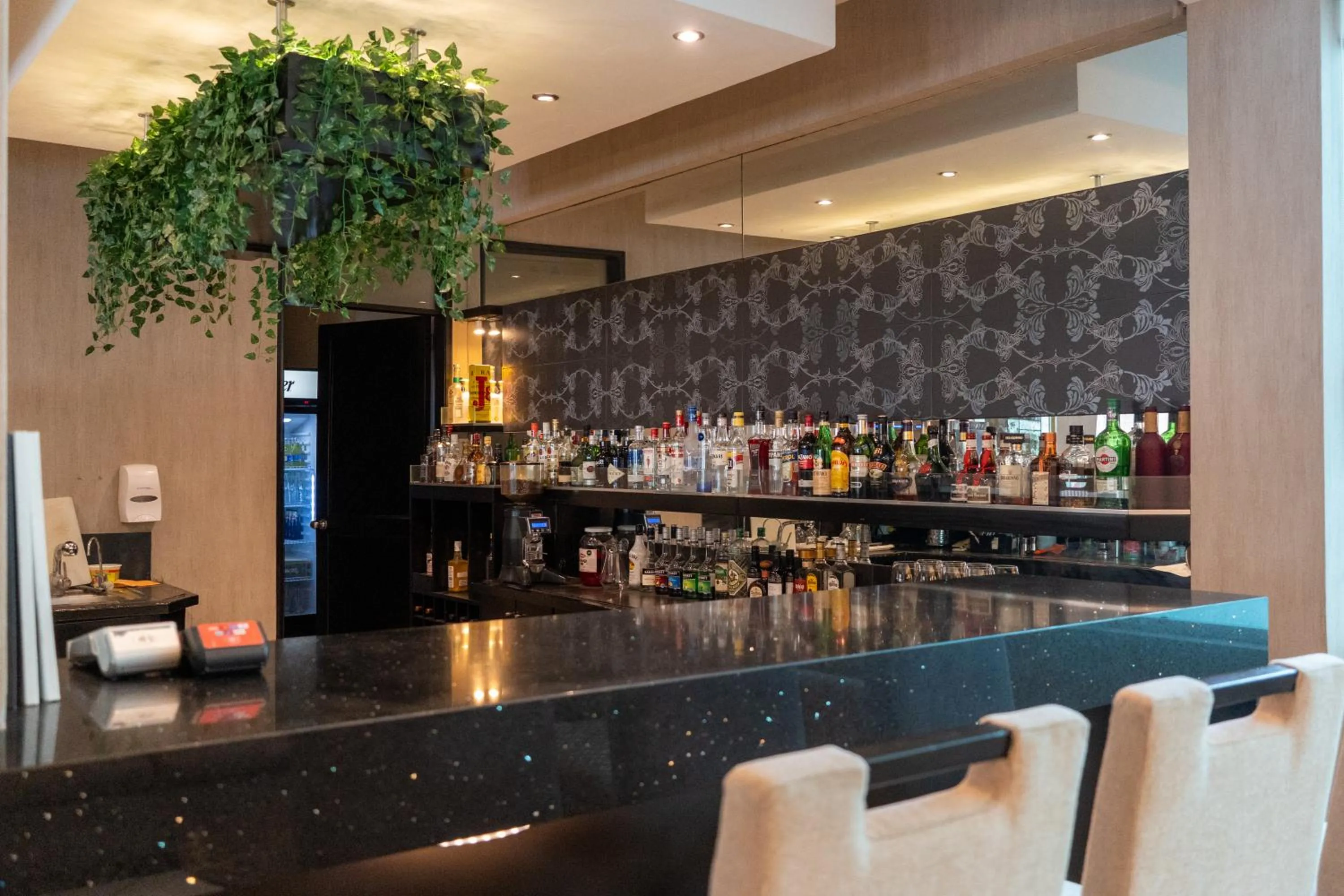 Lounge or bar in Hotel Jose Antonio