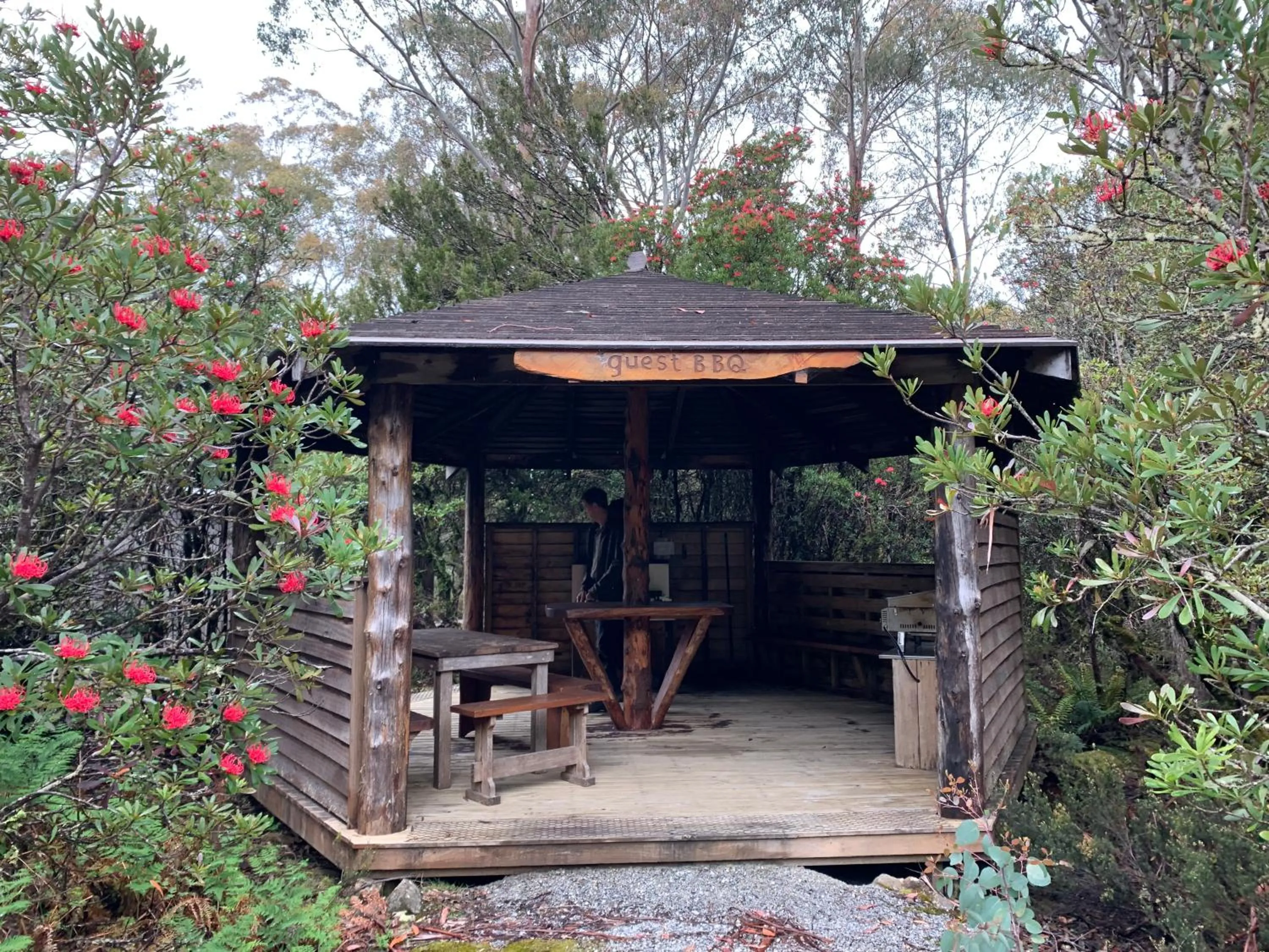 BBQ facilities in Cradle Highlander