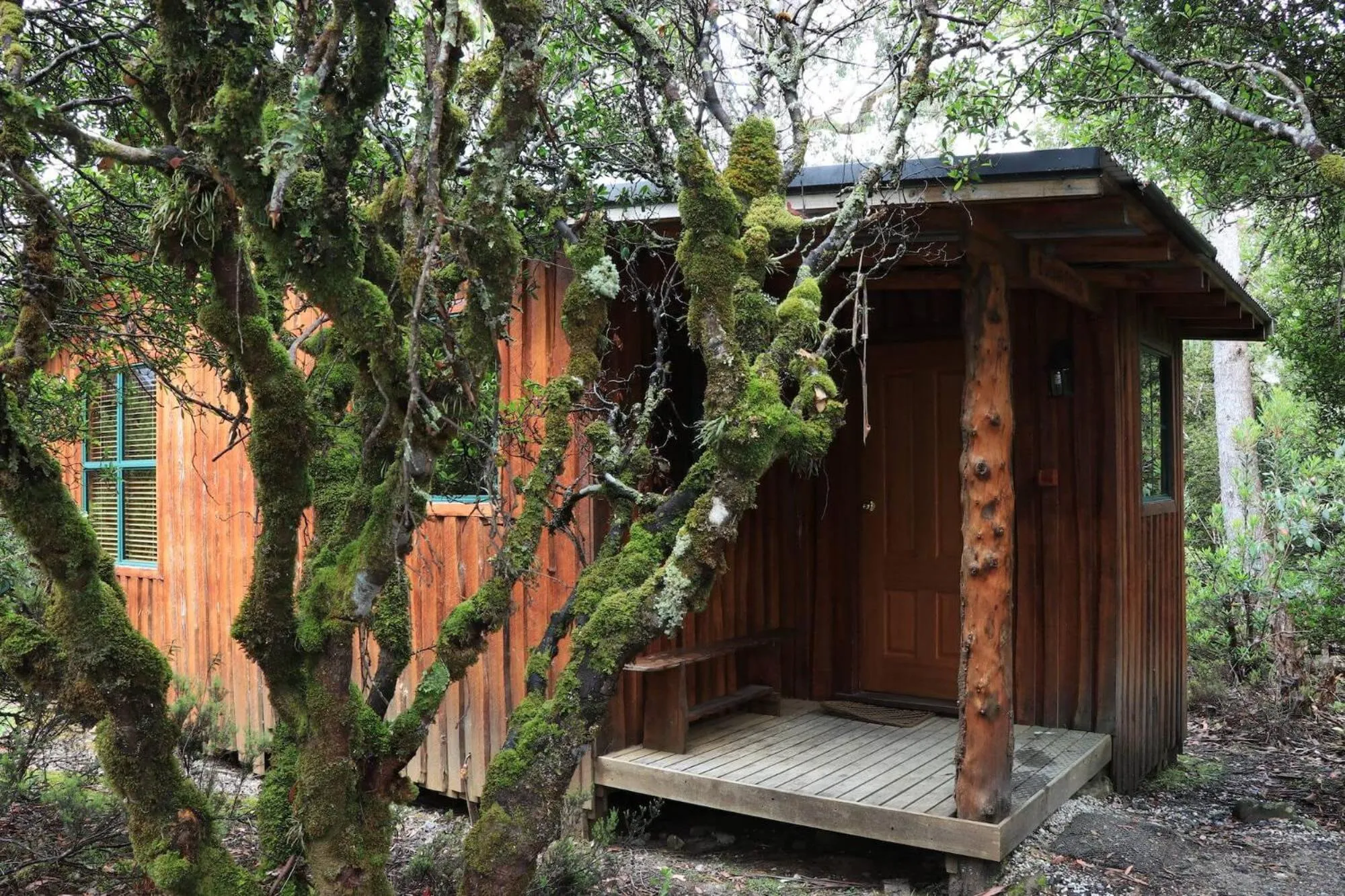 Property building in Cradle Highlander