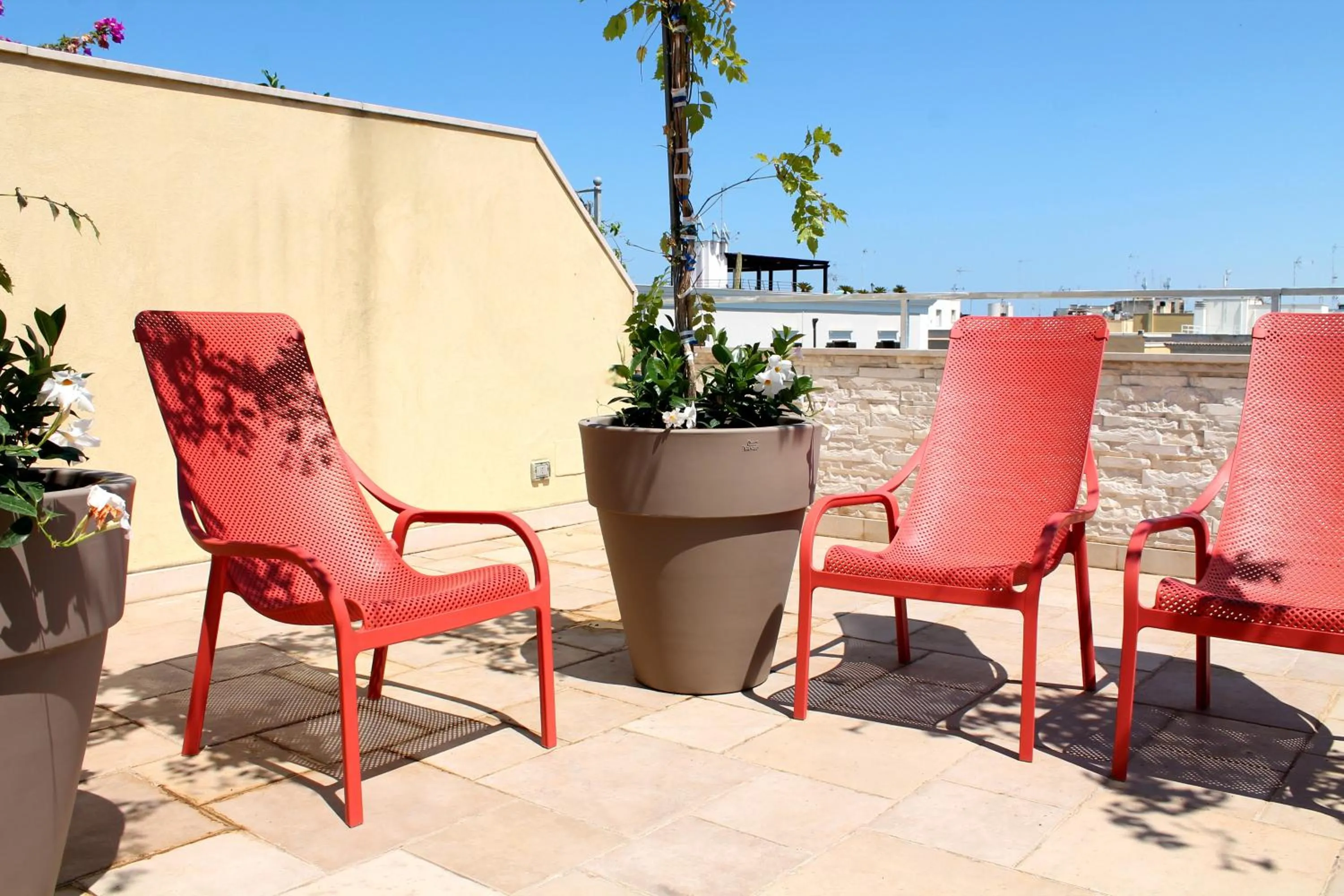 OroVerde Rooms & Suite nel cuore di Trani
