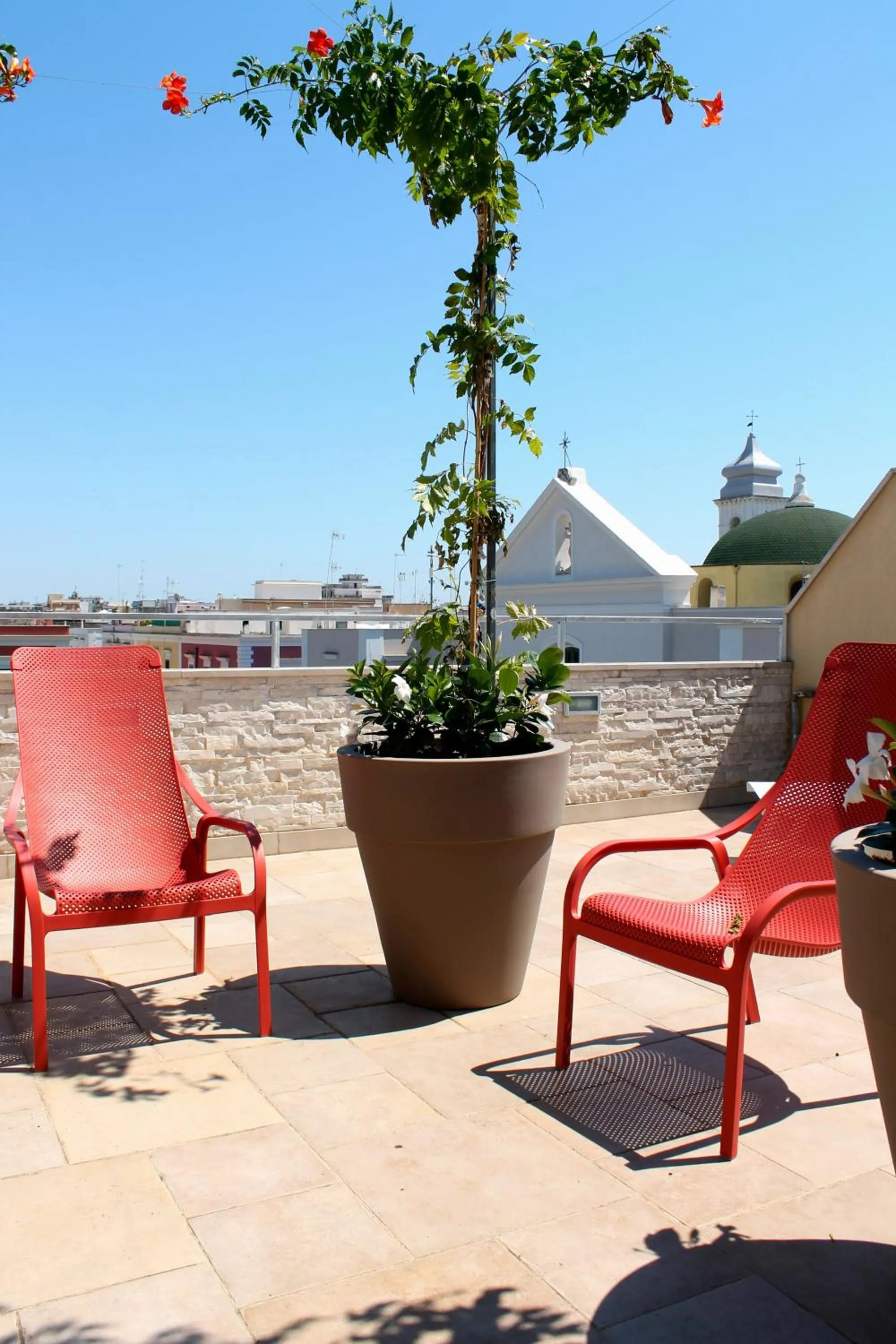 OroVerde Rooms & Suite nel cuore di Trani