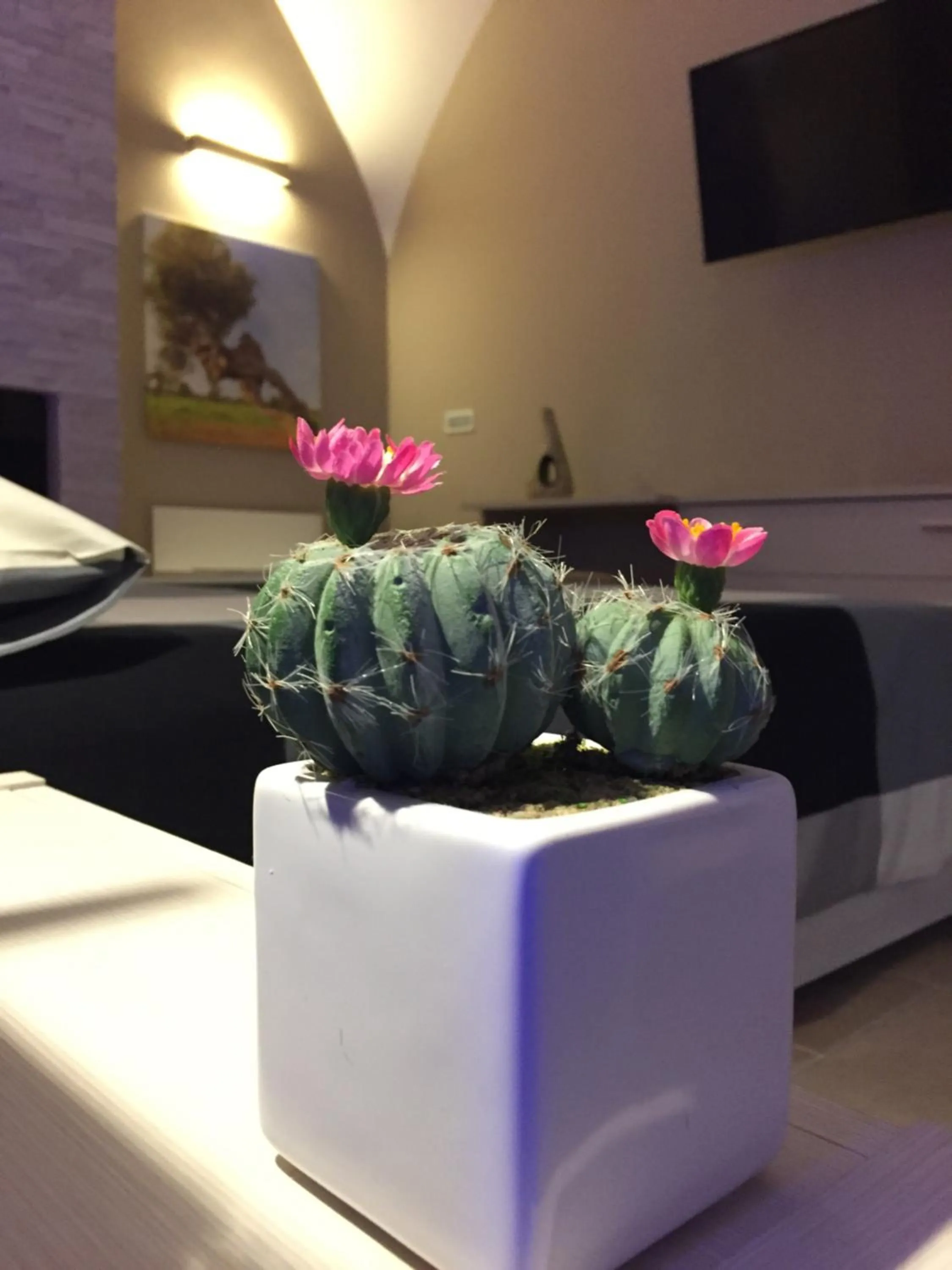 Decorative detail in OroVerde Rooms & Suite nel cuore di Trani