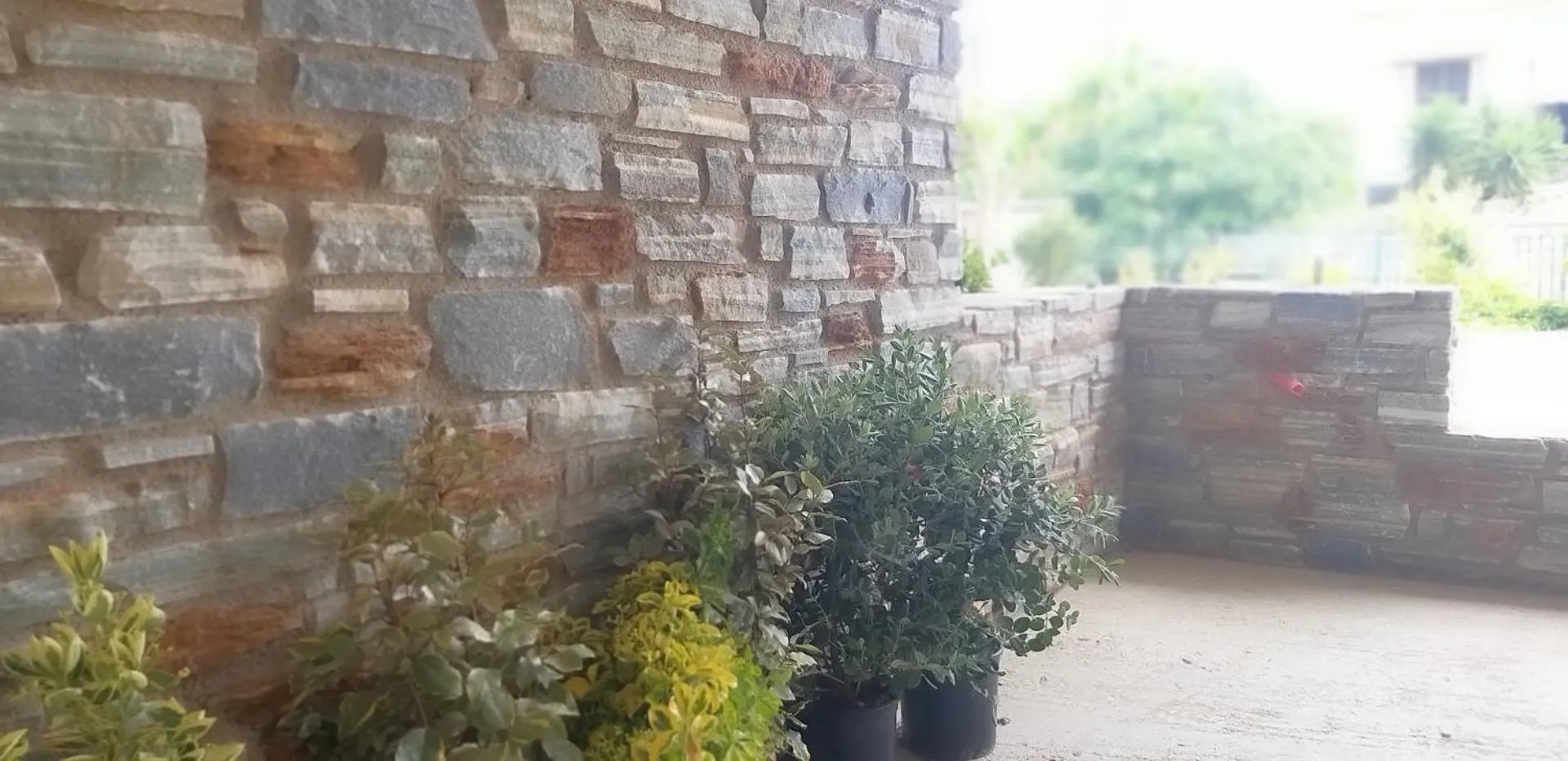 Property building in Petries Studios