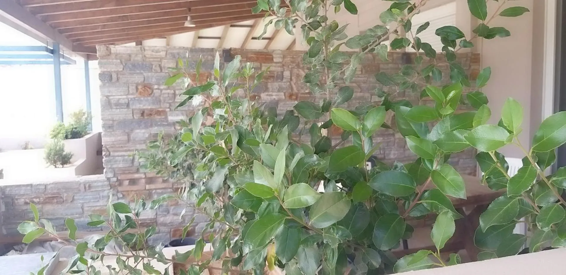 Property building in Petries Studios