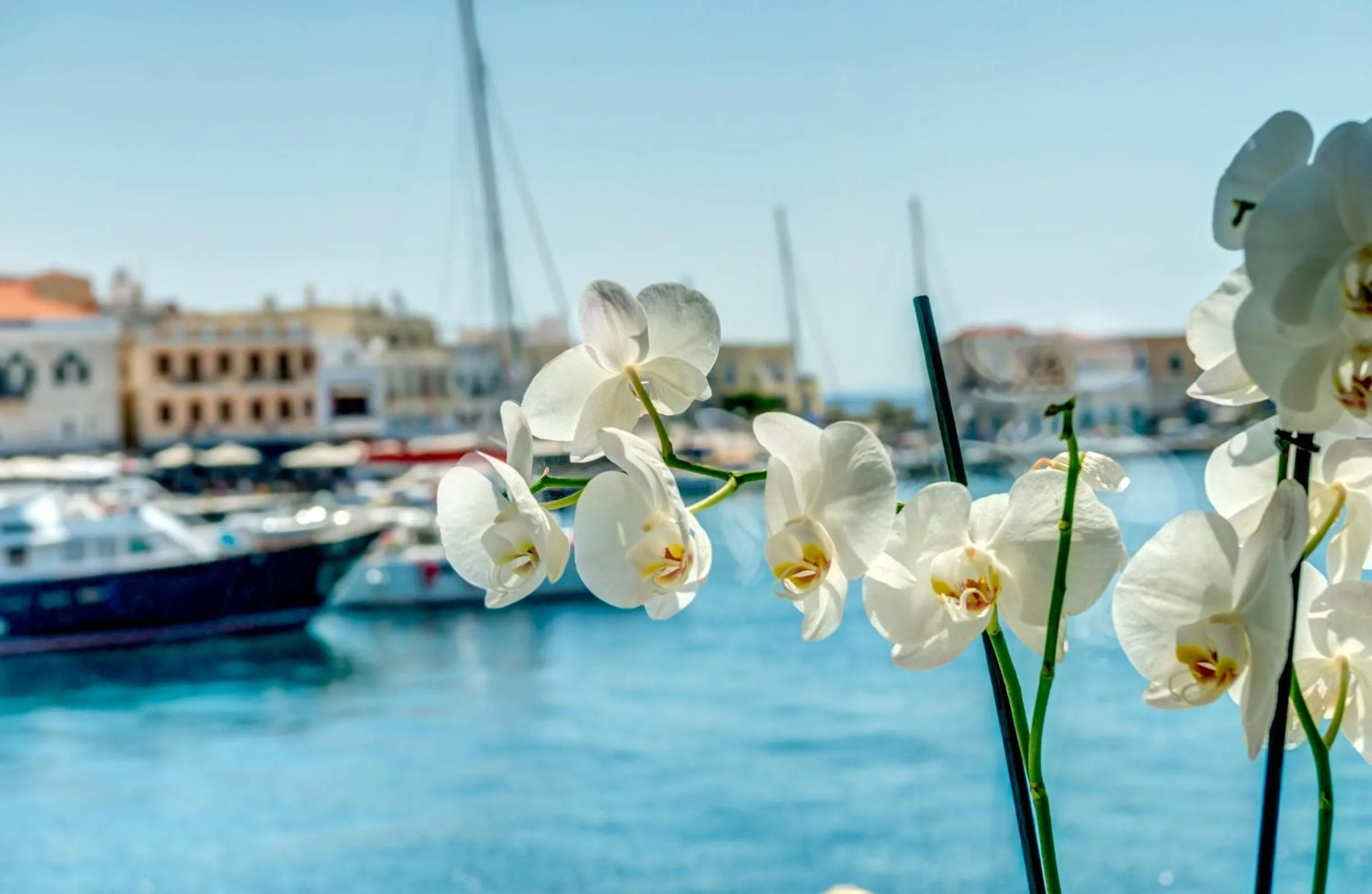 Sea view in Naves Suites