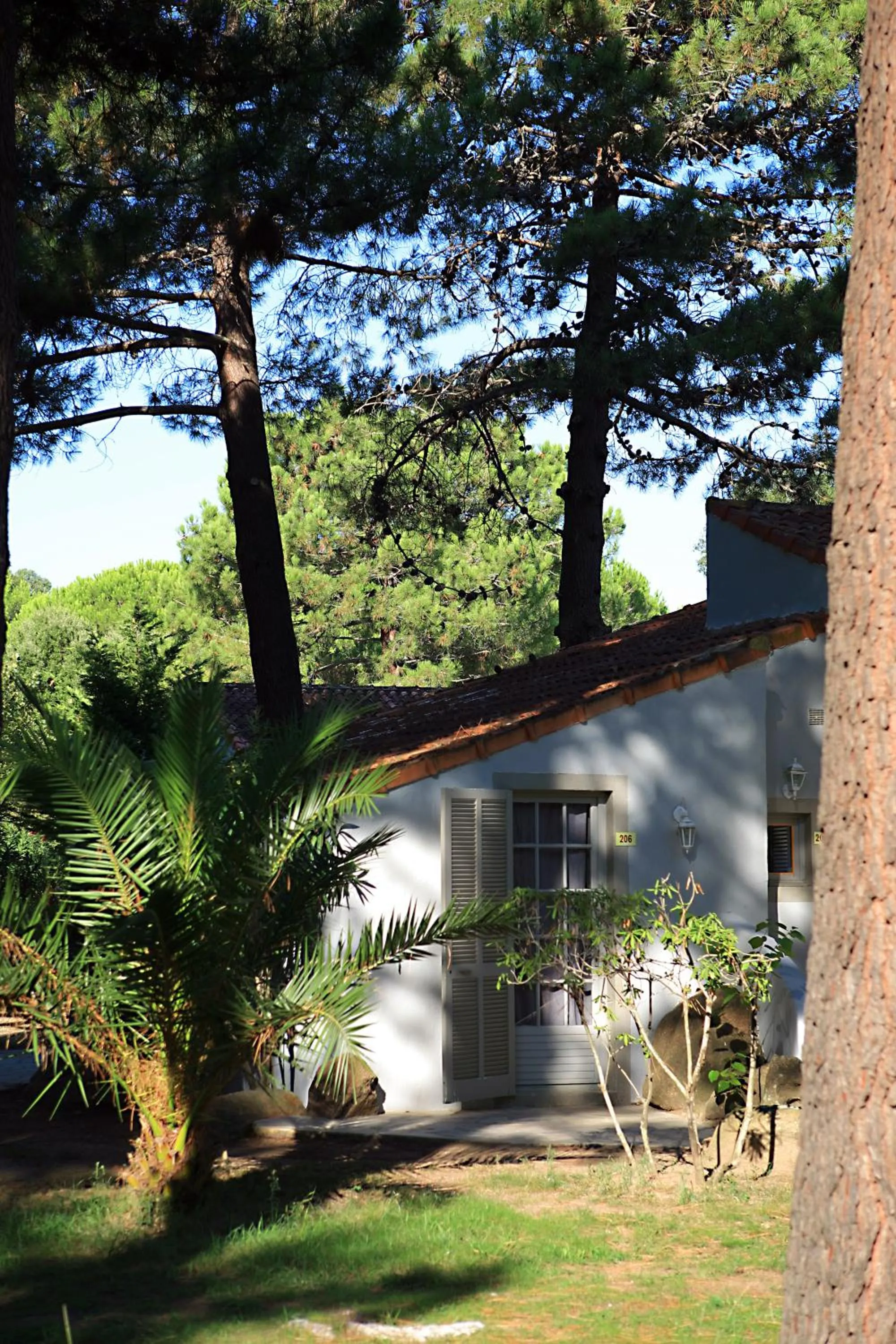 Garden view in Kilina