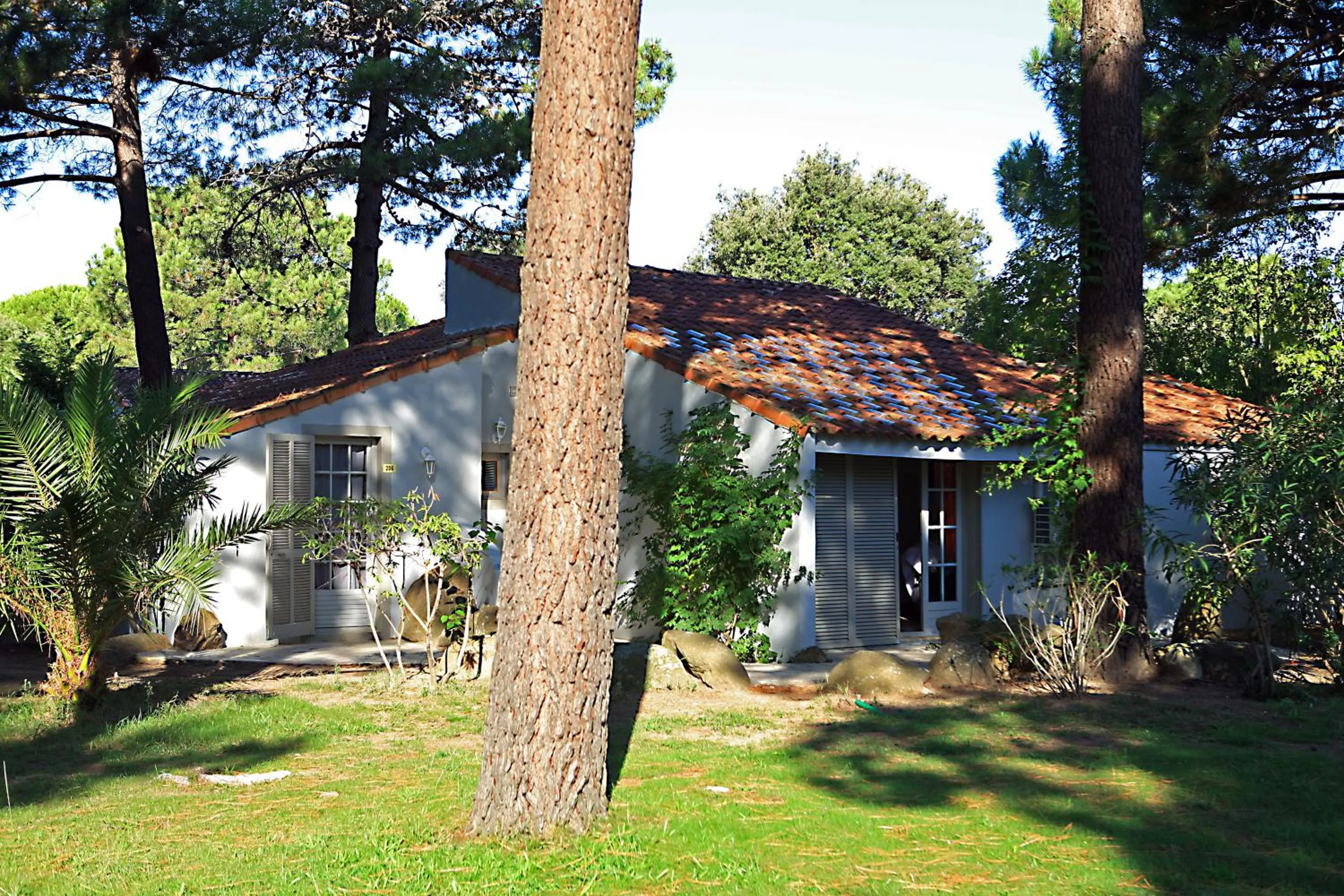 Garden view in Kilina