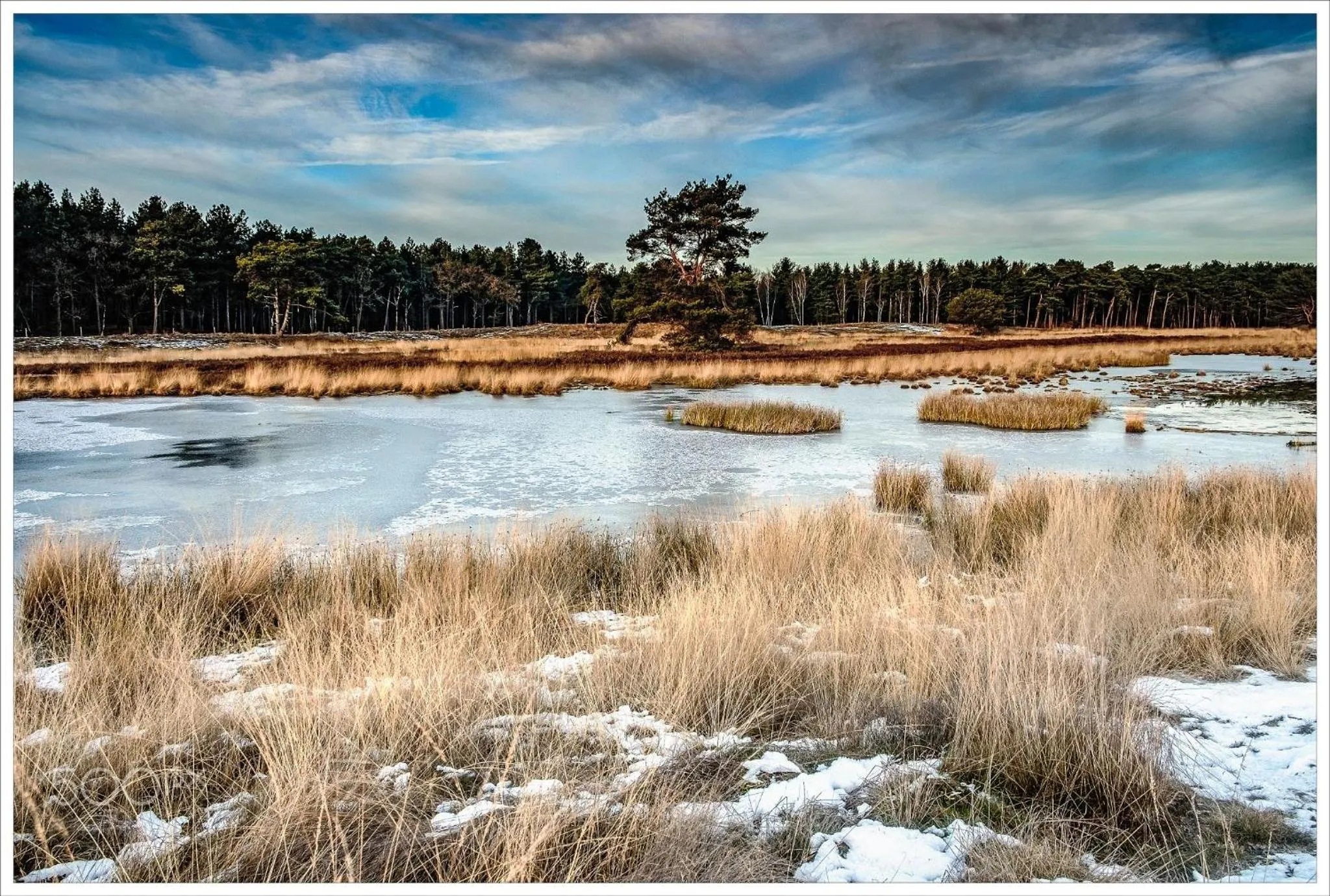 Natural landscape in Boutique Hotel Bed&Bos