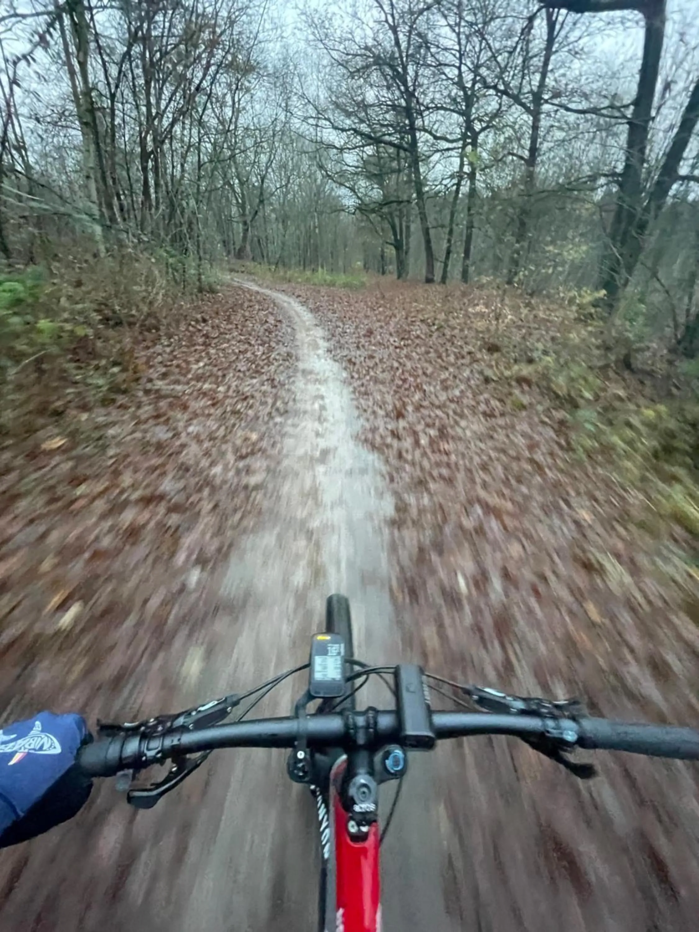 Cycling in Boutique Hotel Bed&Bos