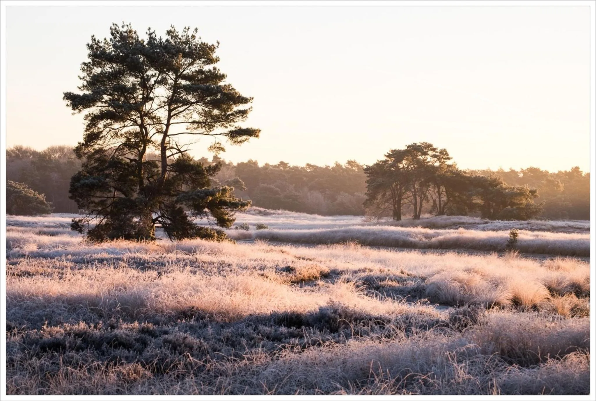 Natural landscape in Boutique Hotel Bed&Bos
