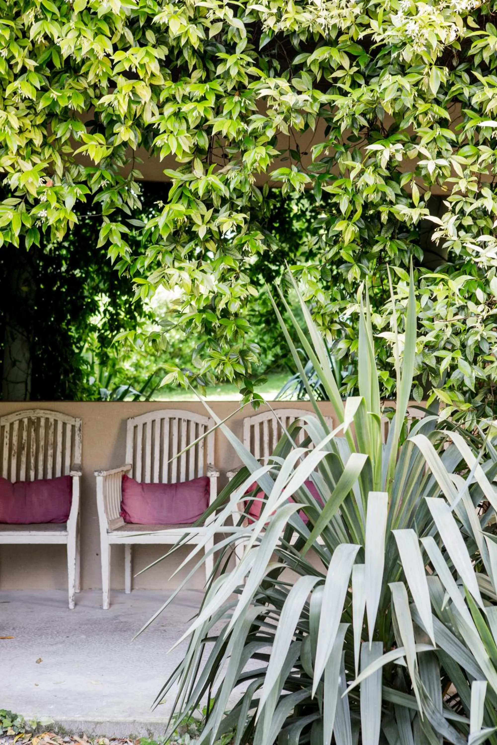 Garden in Hôtel Ville d'Hiver