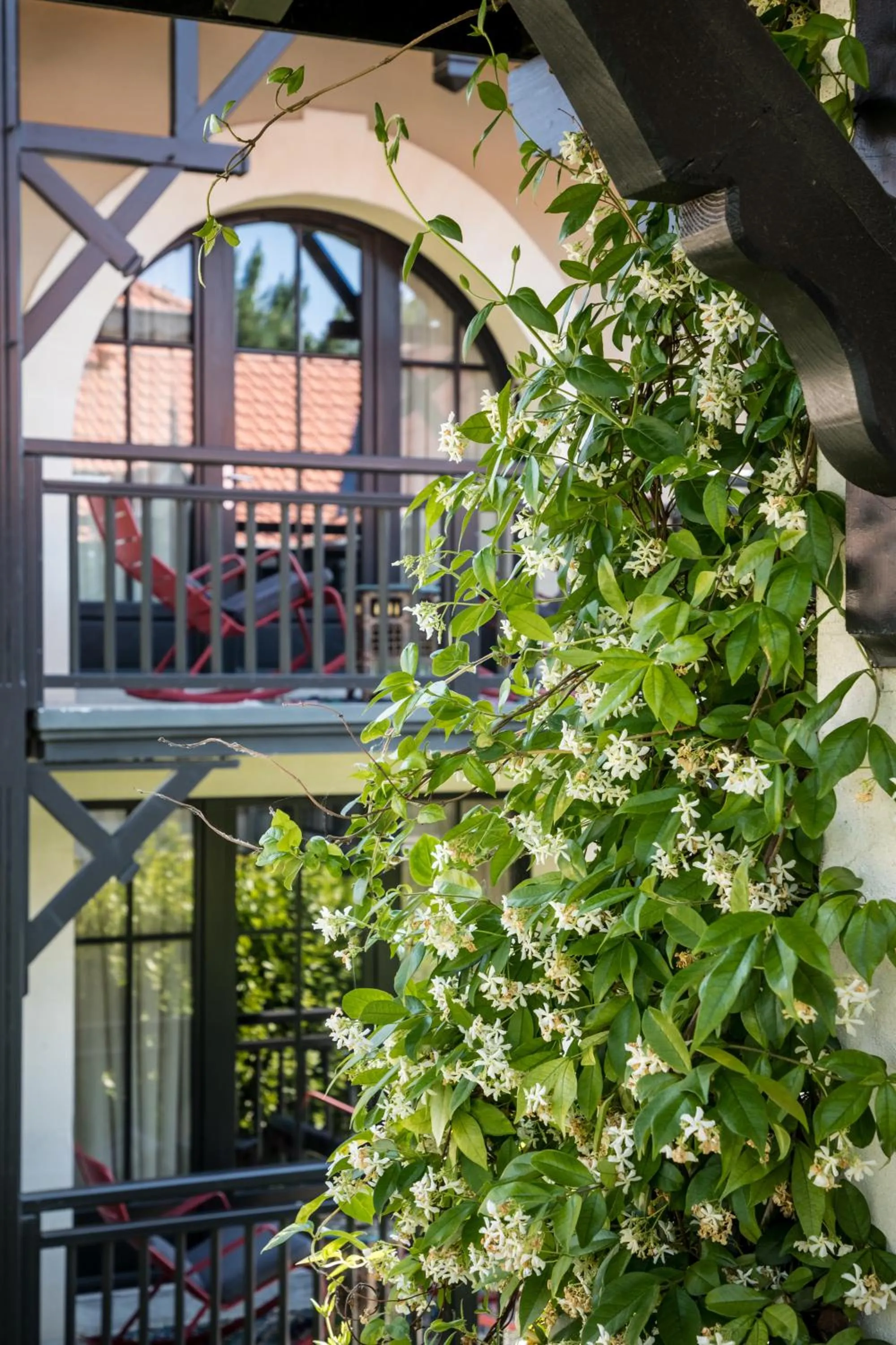 Garden in Hôtel Ville d'Hiver