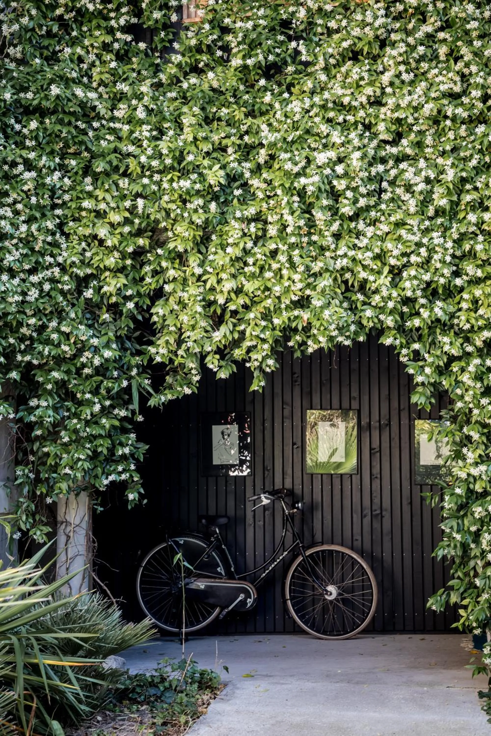 Spring in Hôtel Ville d'Hiver