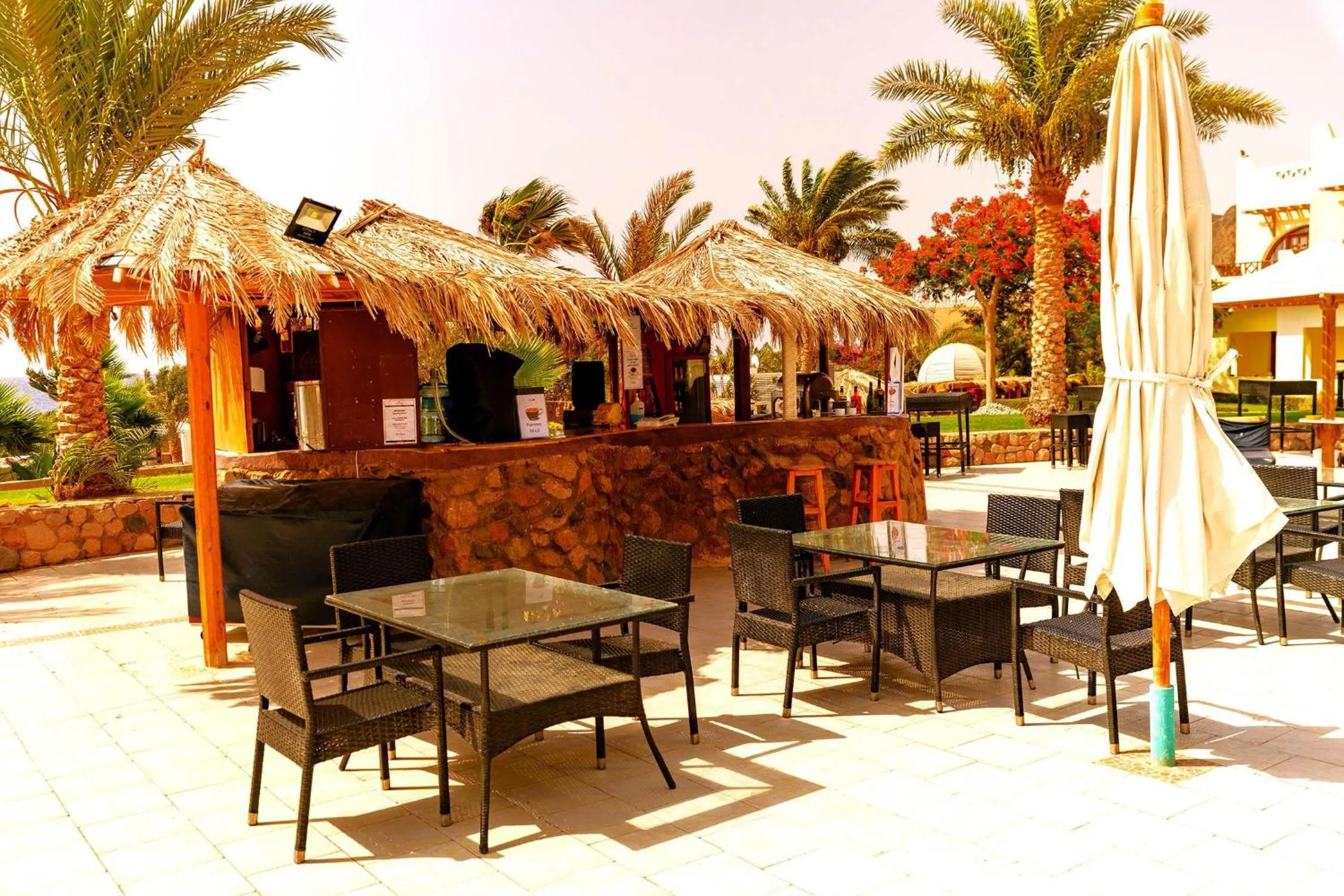 Lounge or bar in Tropitel Dahab Oasis