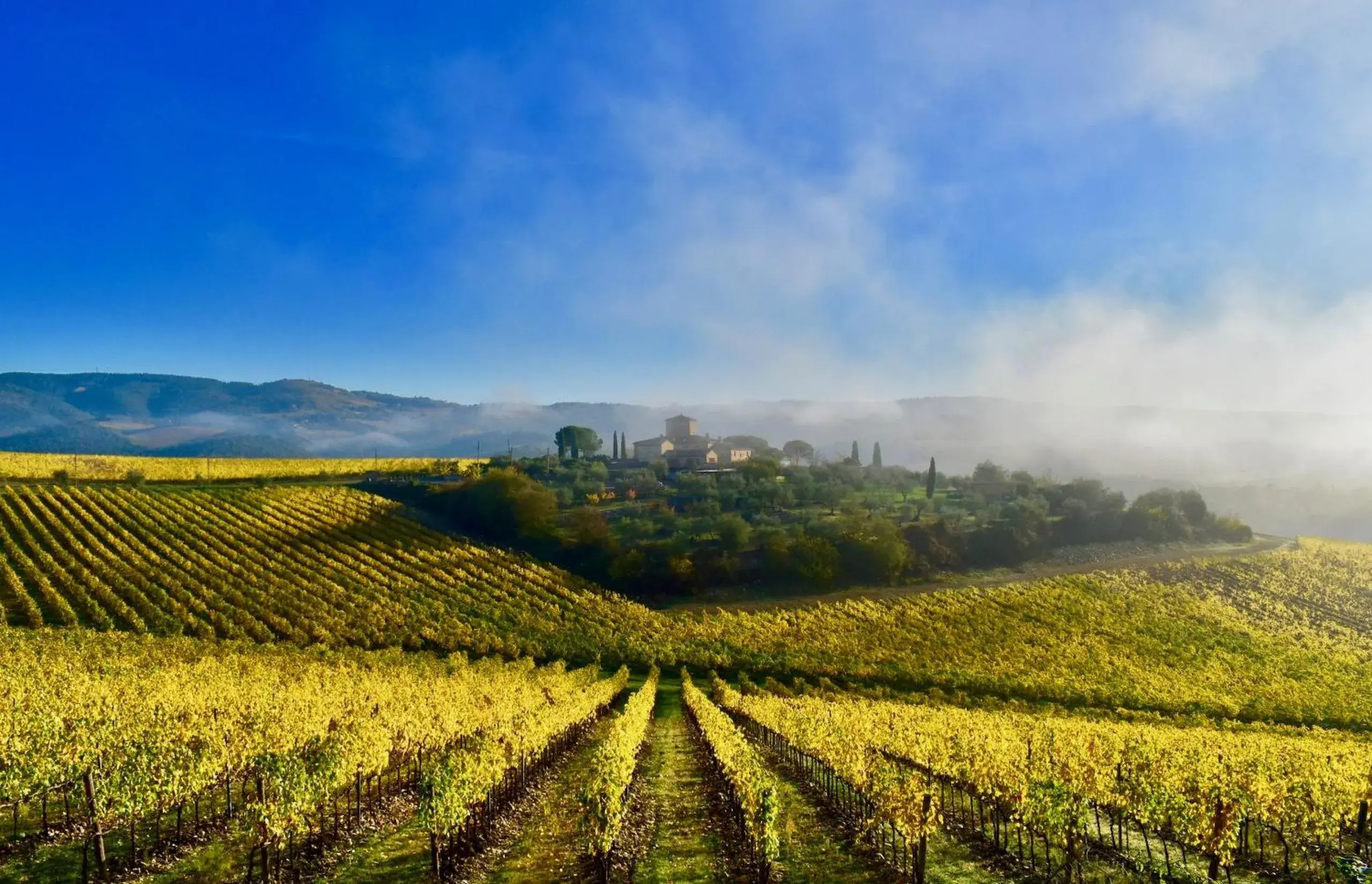 Locanda Le Piazze Locanda Le Piazze