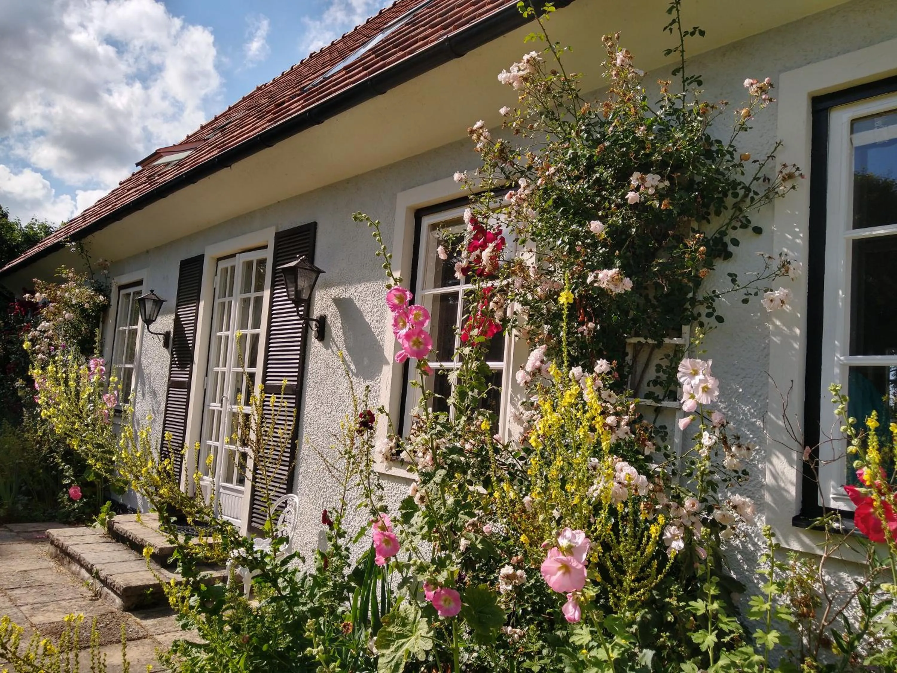 Garden in Villa Signedal Hostel