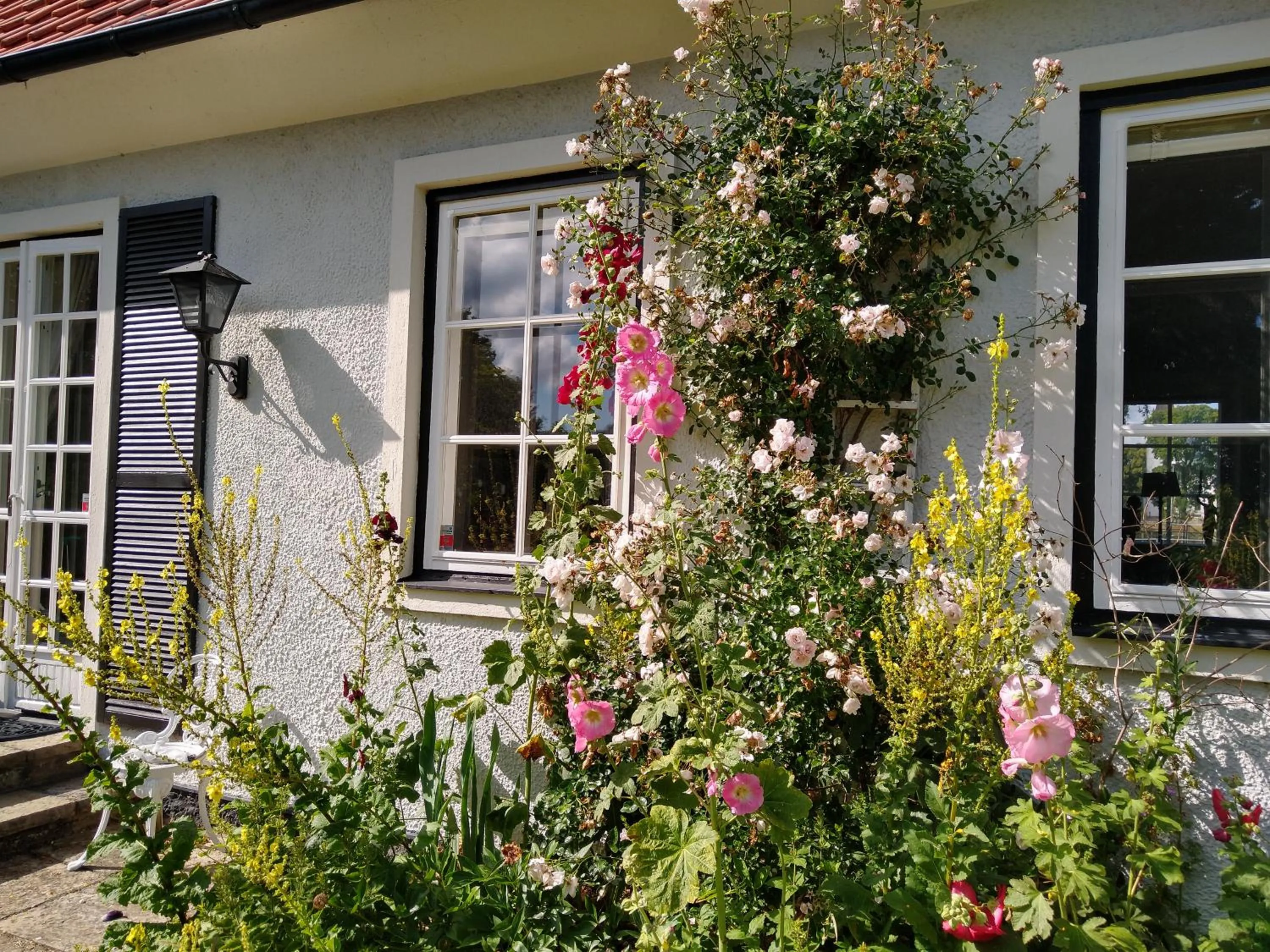 Property building in Villa Signedal Hostel