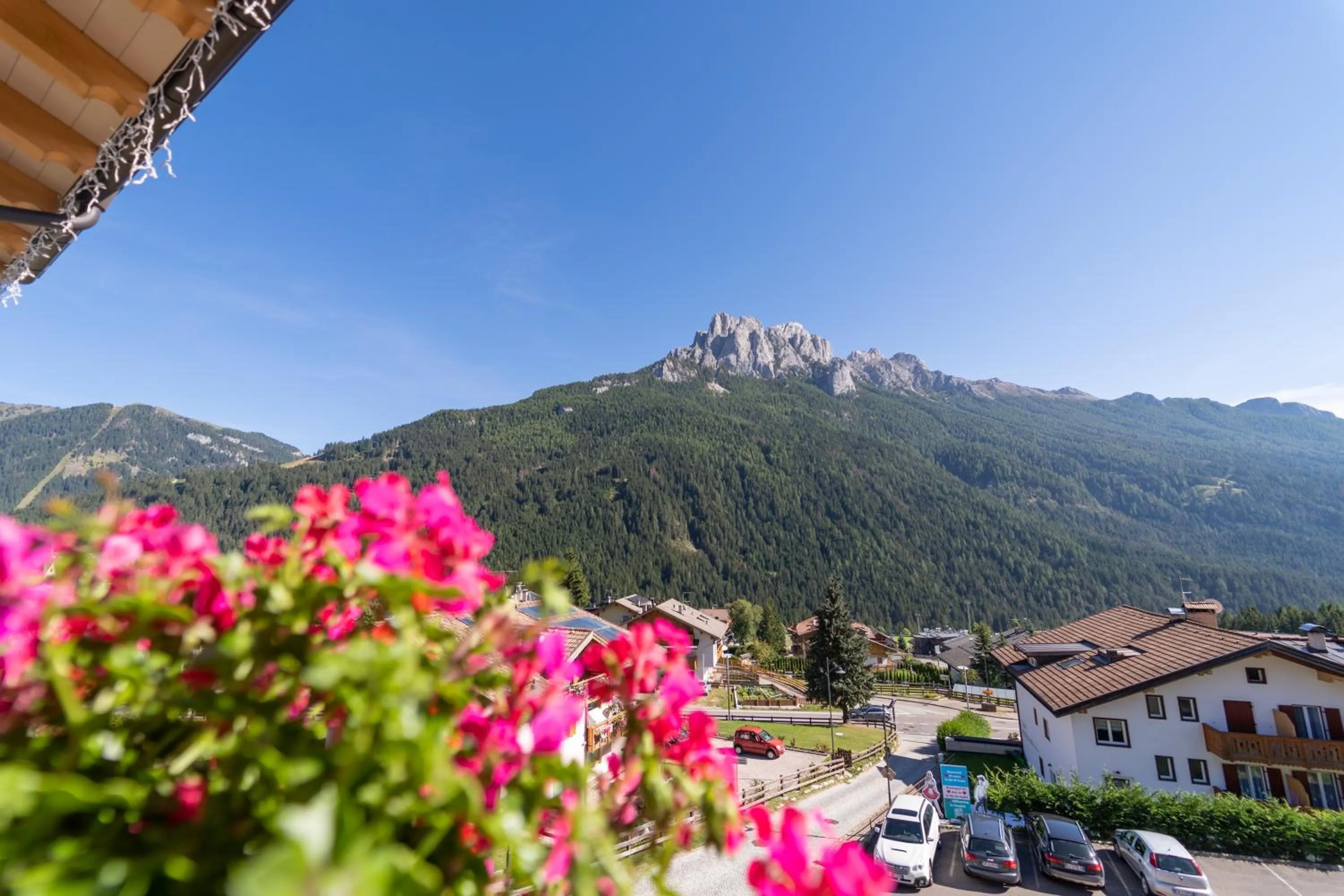 Neighbourhood in Berg Hotel Latemar Spitze