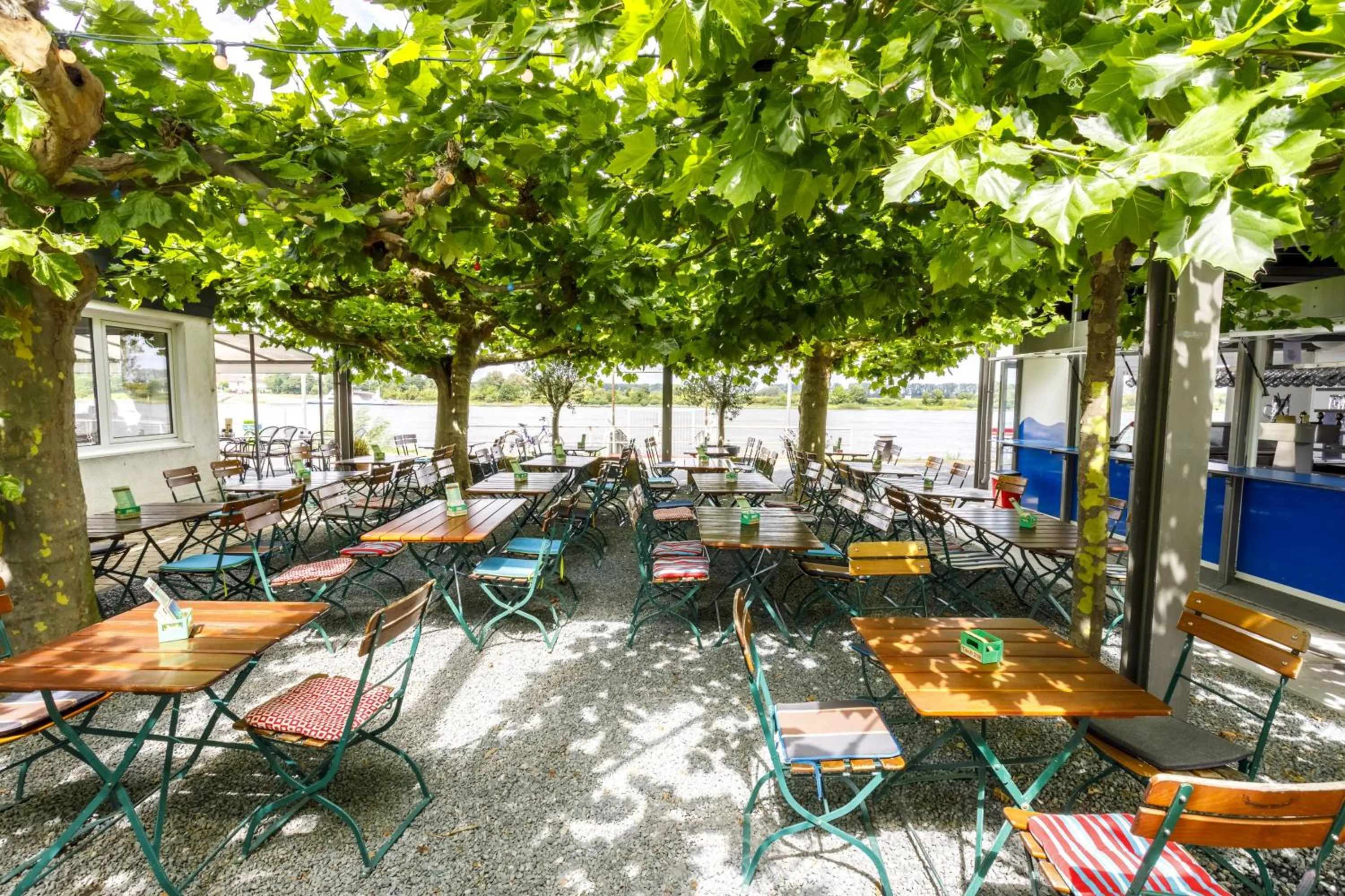 Patio in Hotel Rheingold
