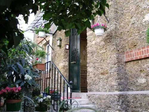 Garden in Hotel Windsor Home