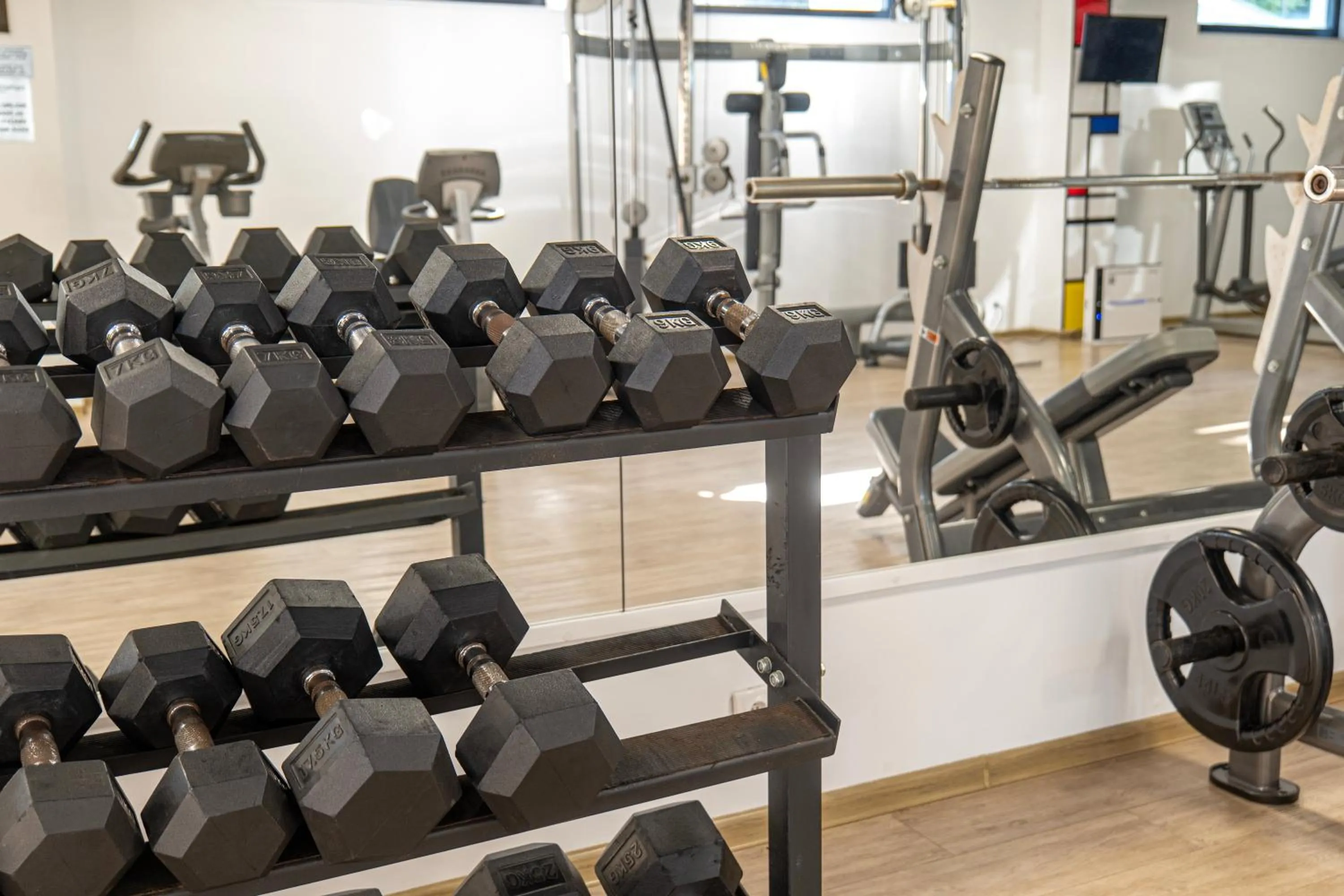 Fitness centre/facilities in Zepter Spa Wellness Hotel & Zepterme member of Zepter Hotels