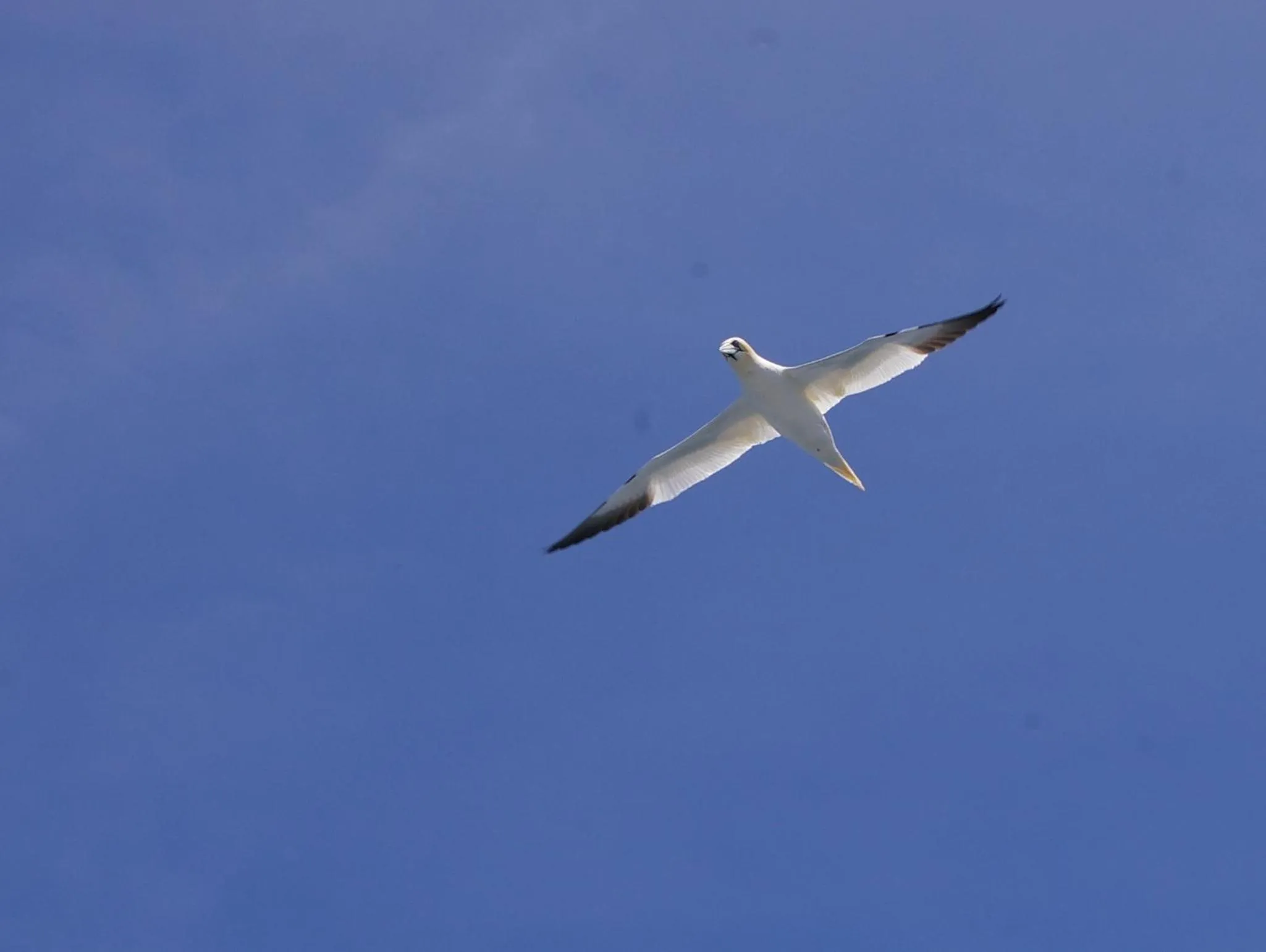 Nearby landmark in Le Colombier Bretagne