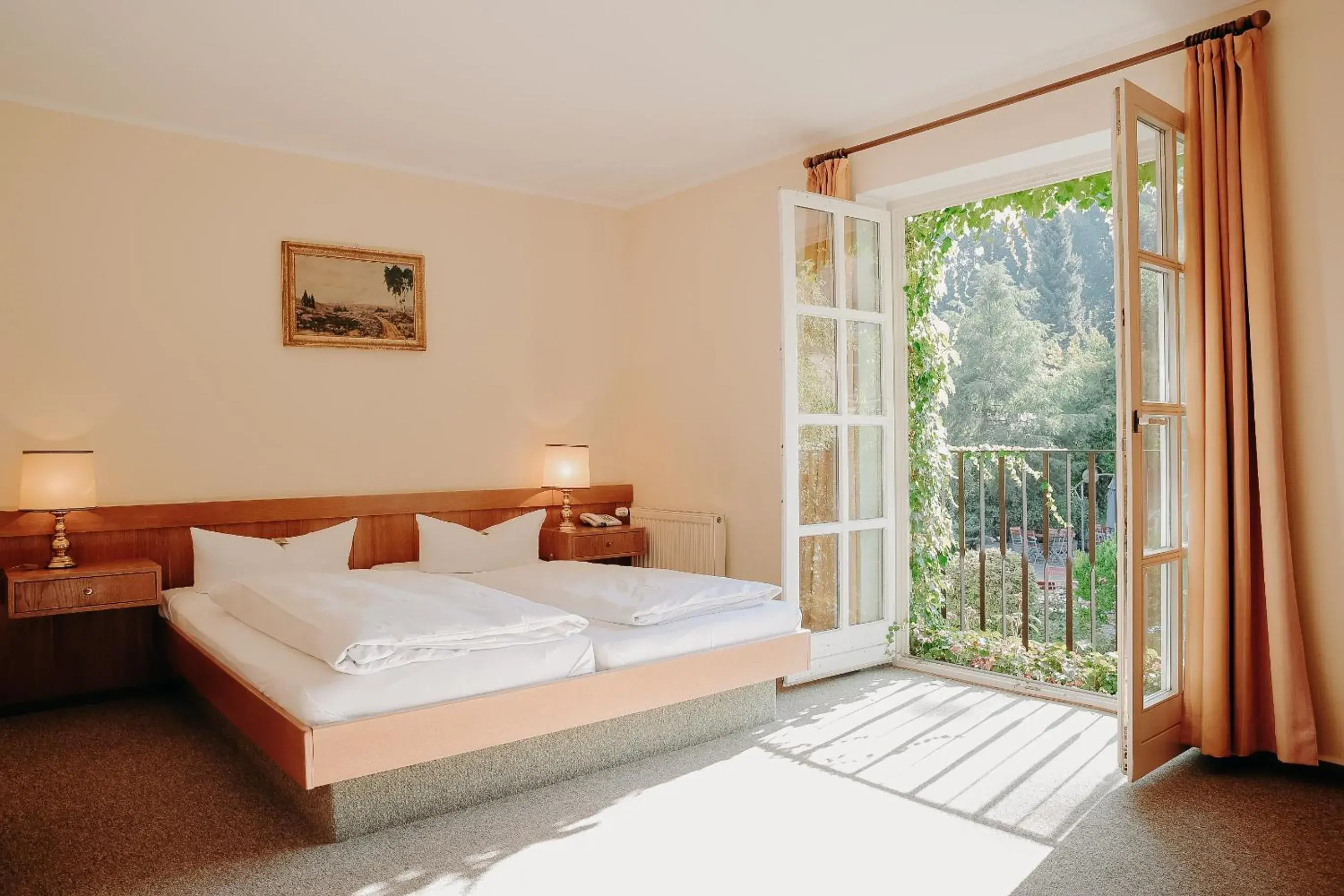 Budget Double Room - single occupancy in Landschloss Ernestgrün Budget Double Room - single occupancy in Landschloss Ernestgrün