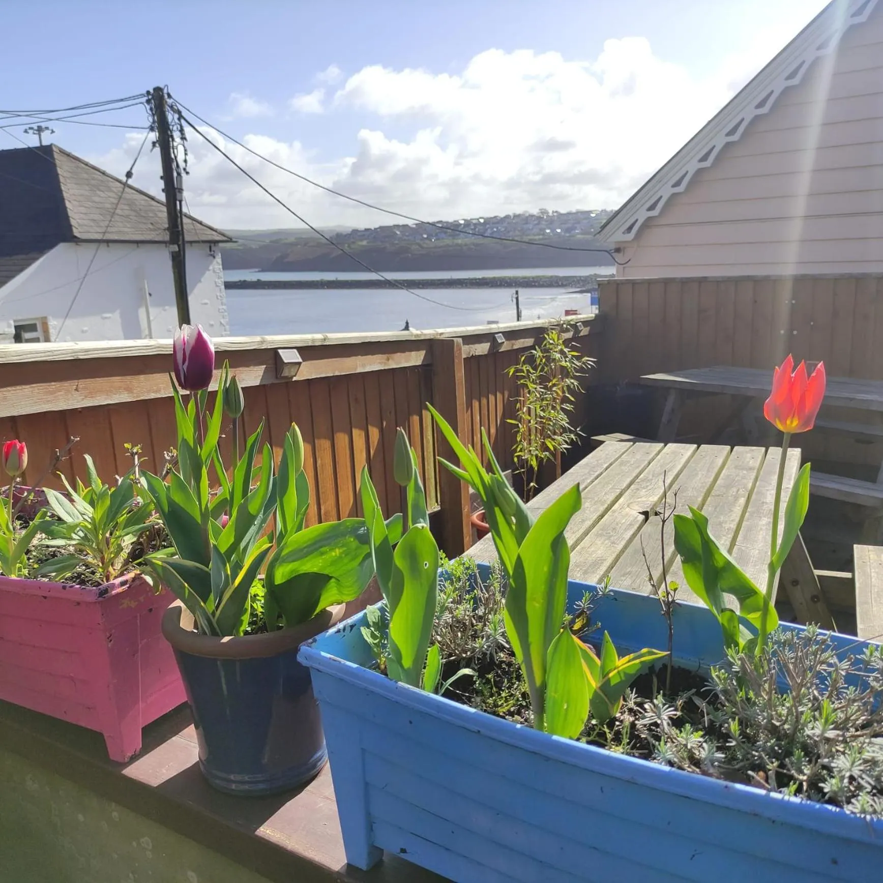 Garden in Rose and Crown Hotel & Hope and Anchor Bar