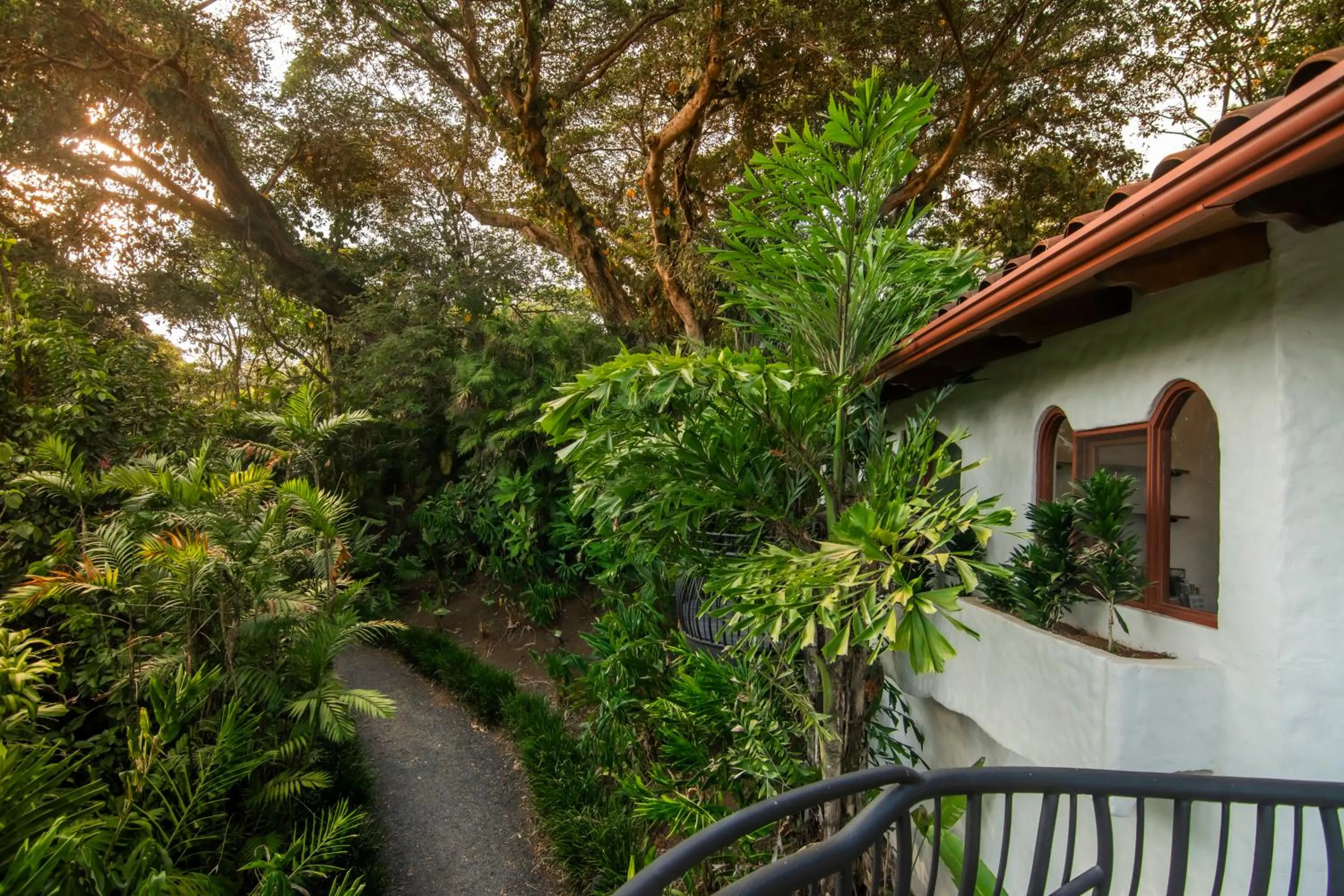 Natural landscape in Finca Rosa Blanca Coffee Farm and Inn