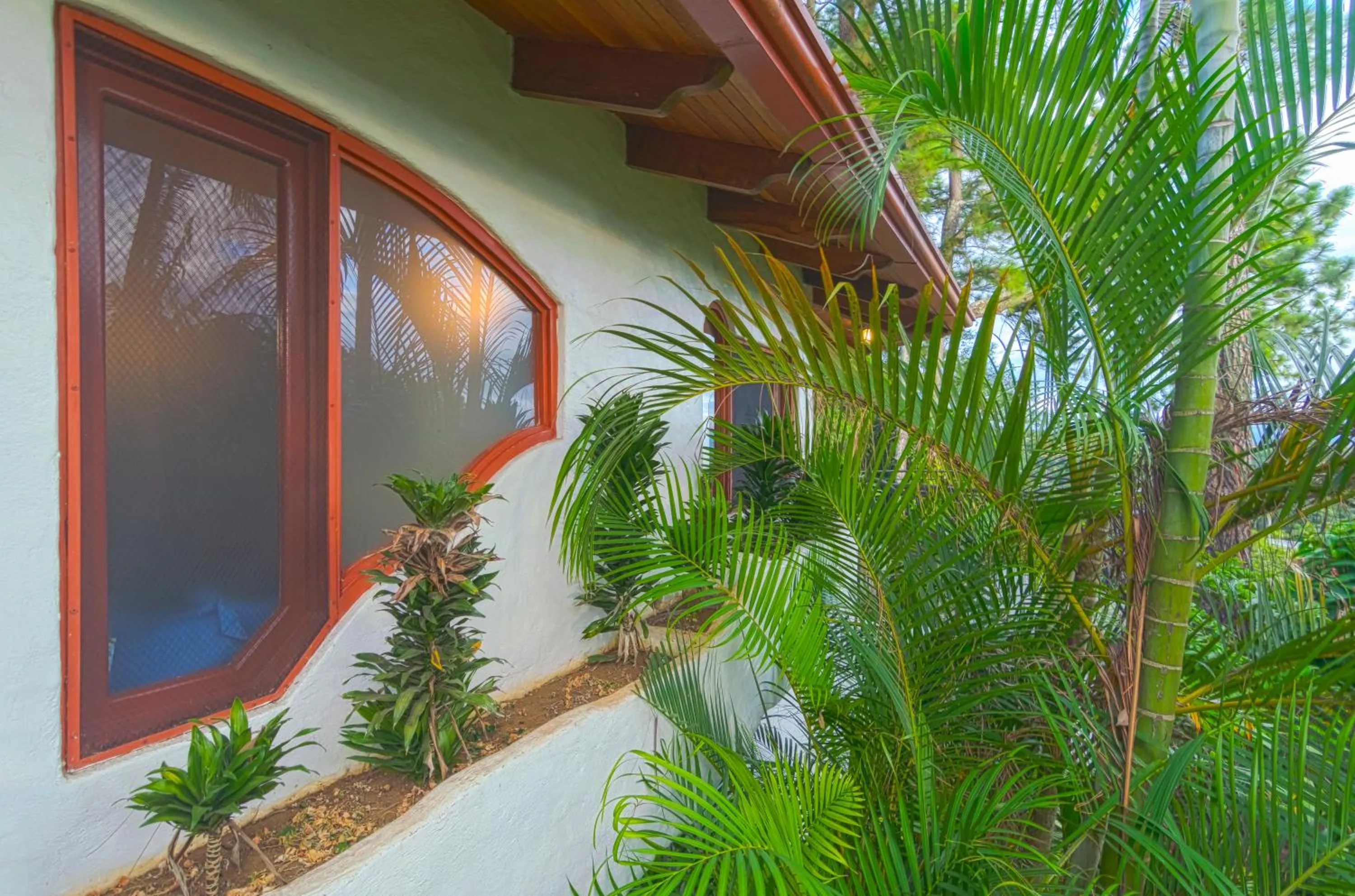 Garden in Finca Rosa Blanca Coffee Farm and Inn