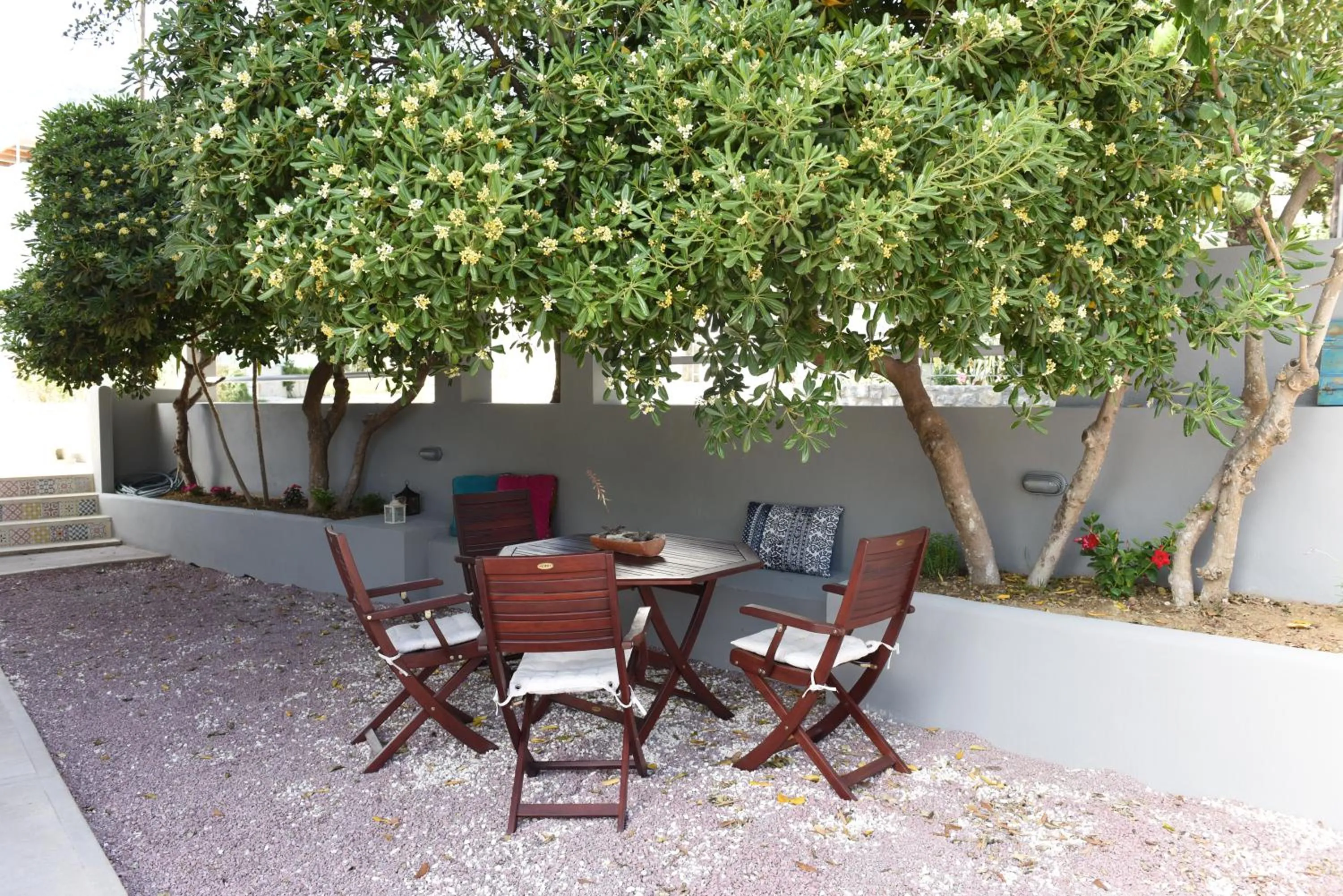 Garden in Dimitris' & Valentina's Home