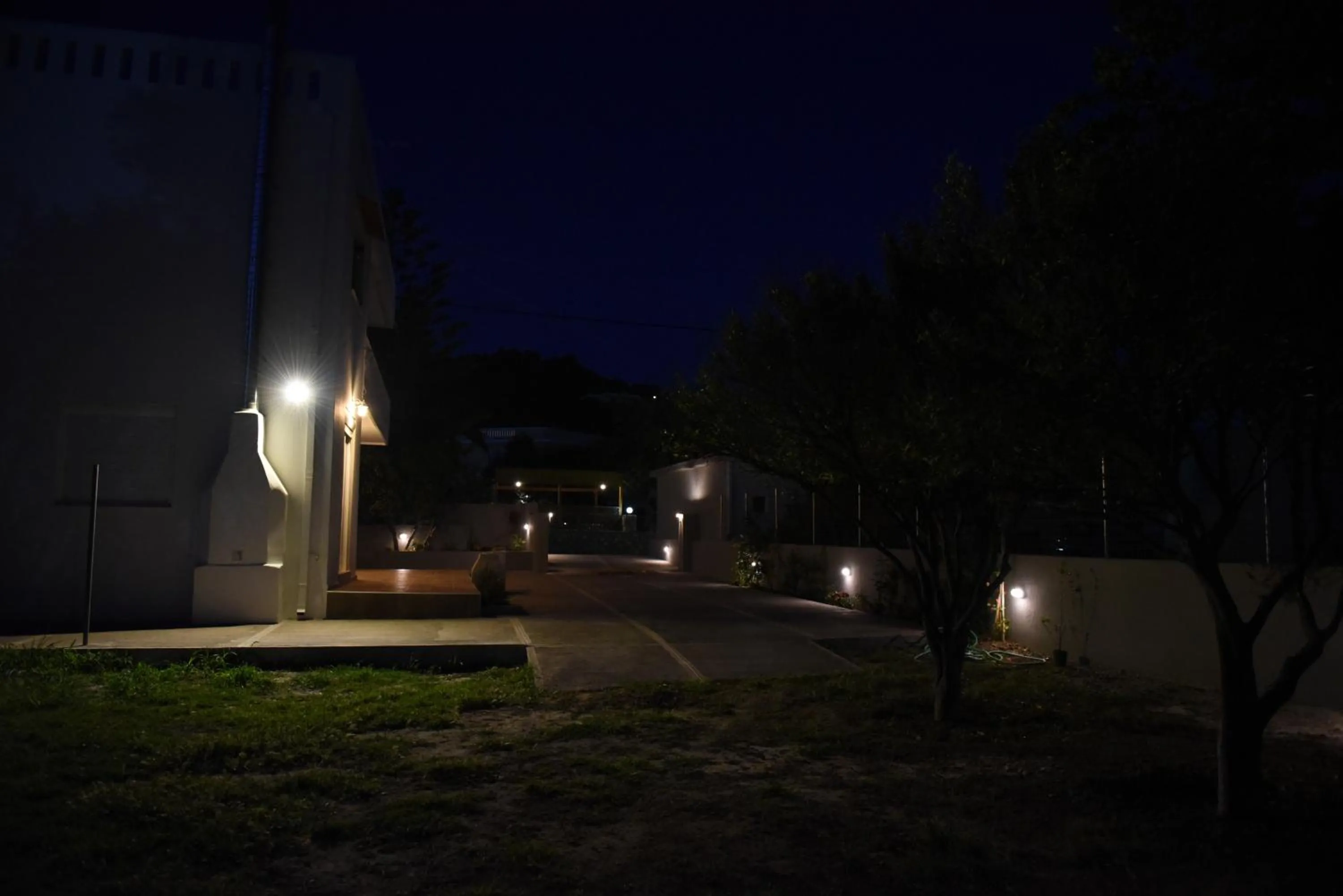 Garden in Dimitris' & Valentina's Home