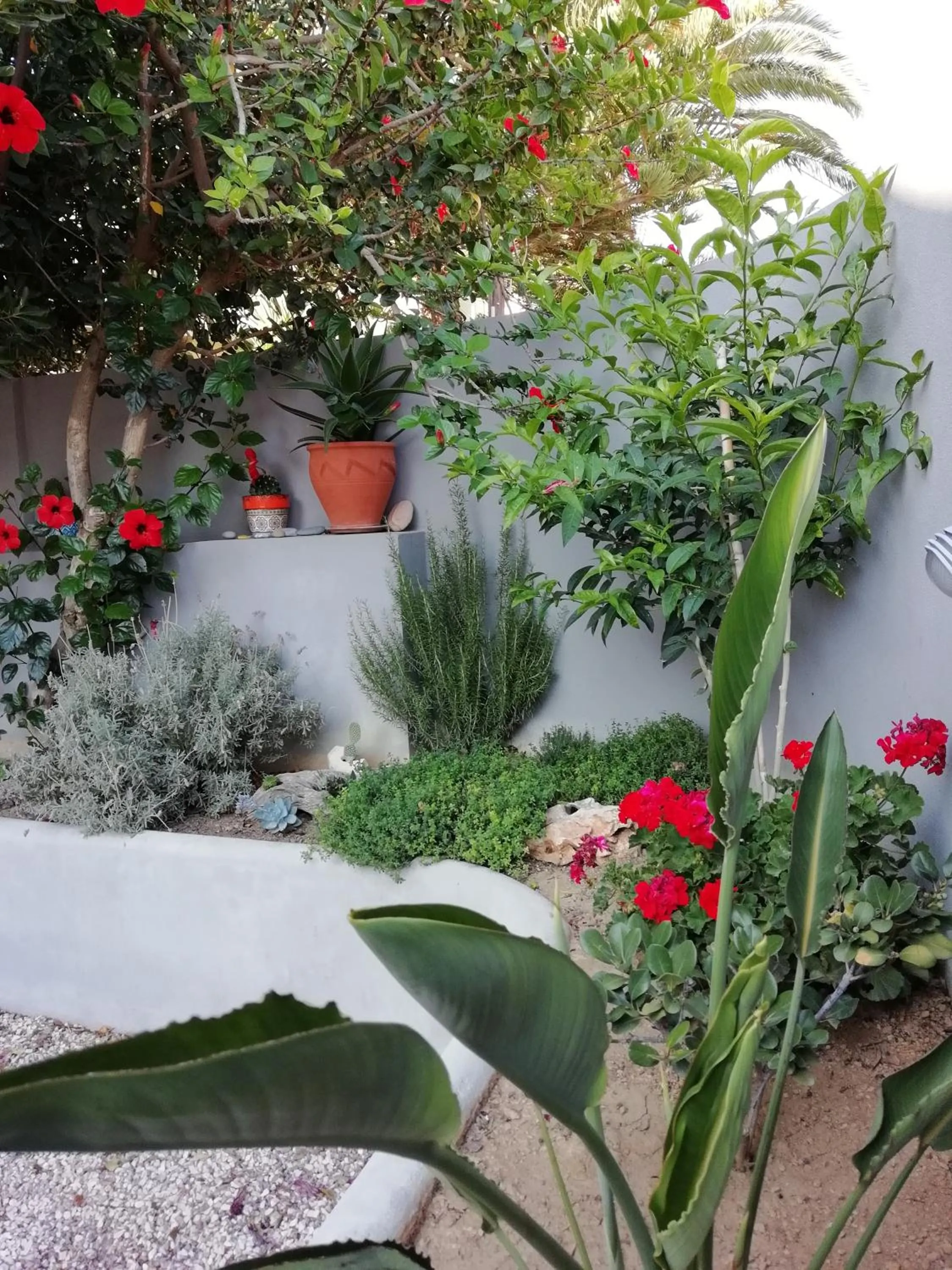Dimitris' & Valentina's Home