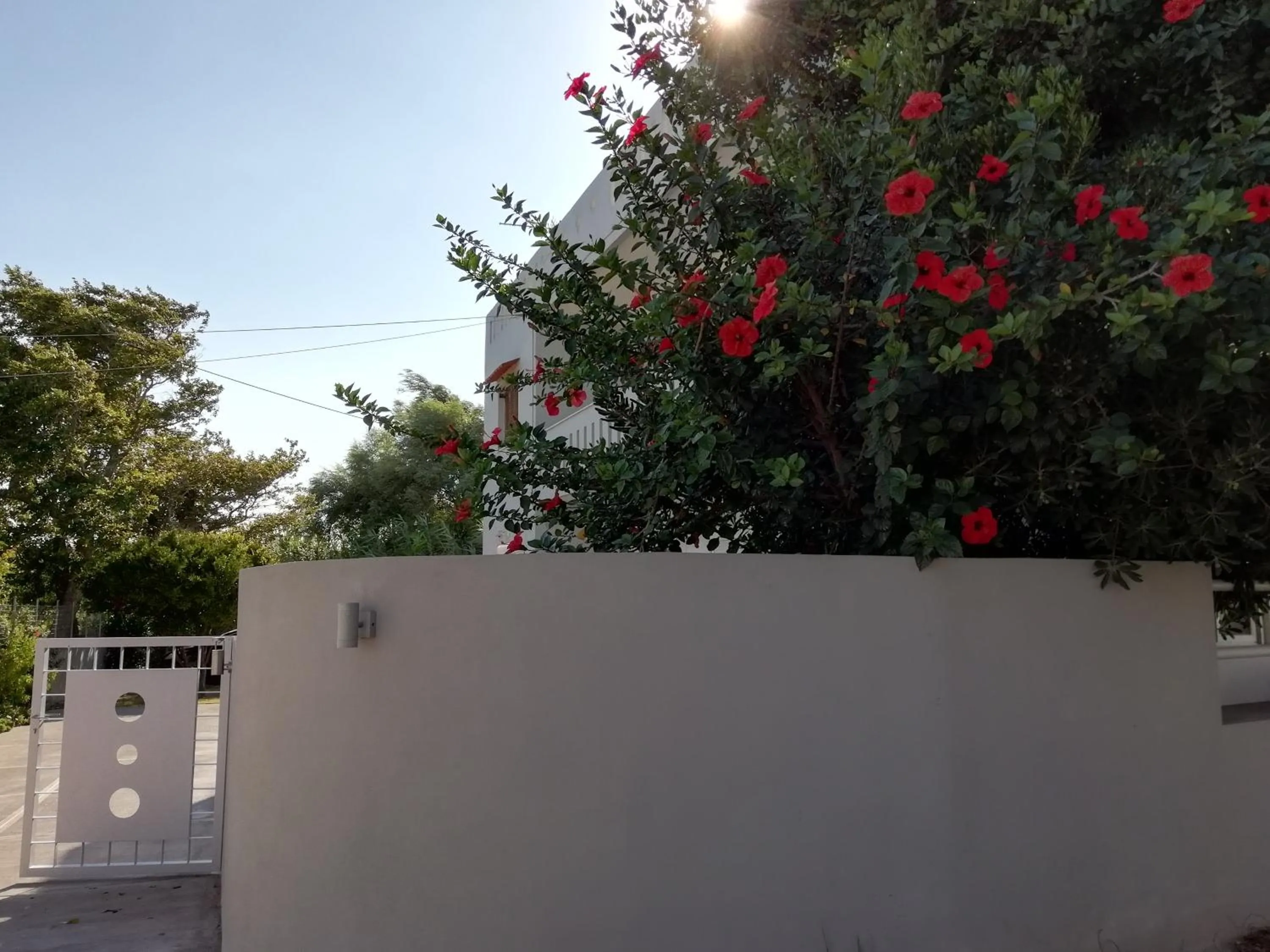 Dimitris' & Valentina's Home