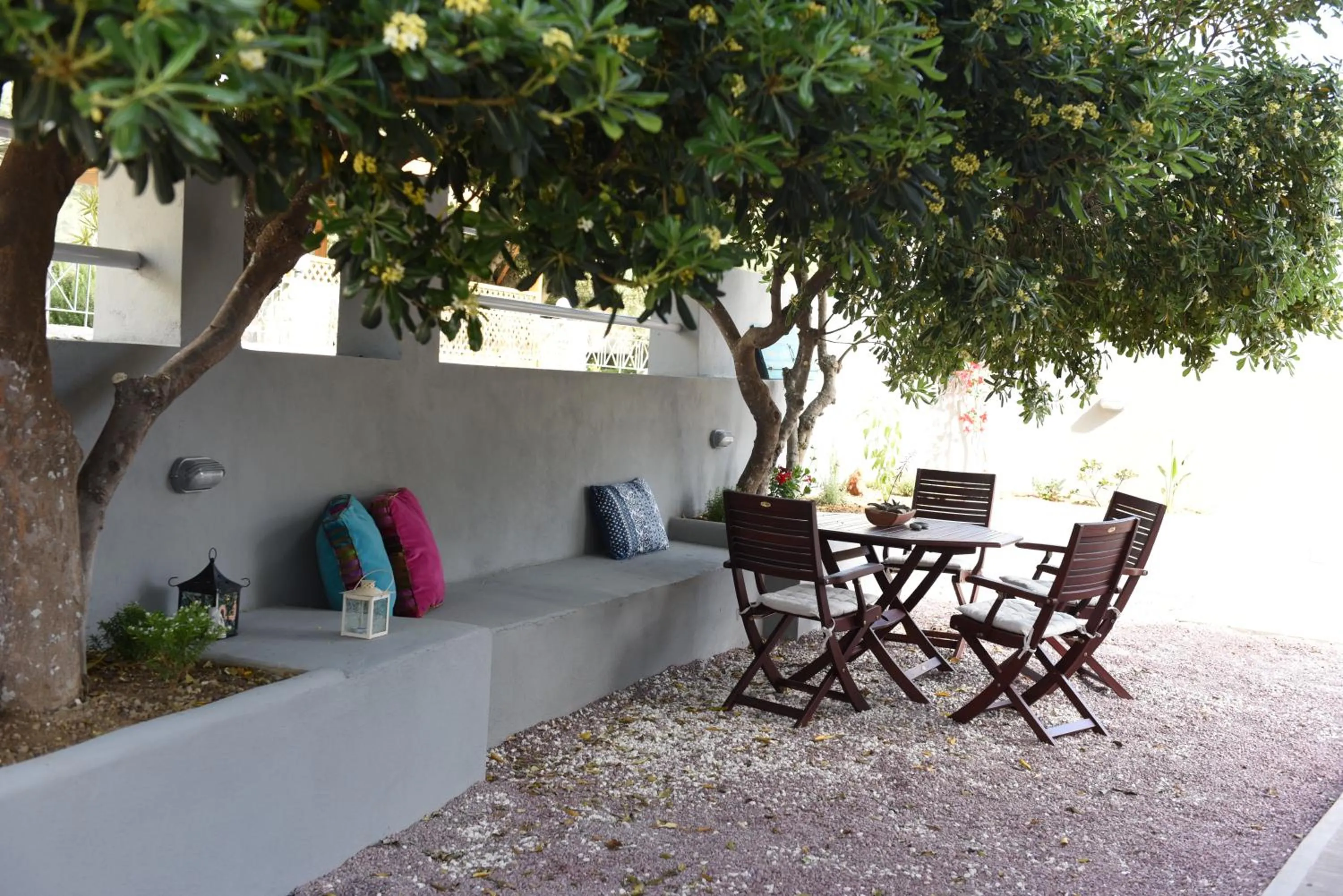 Garden in Dimitris' & Valentina's Home