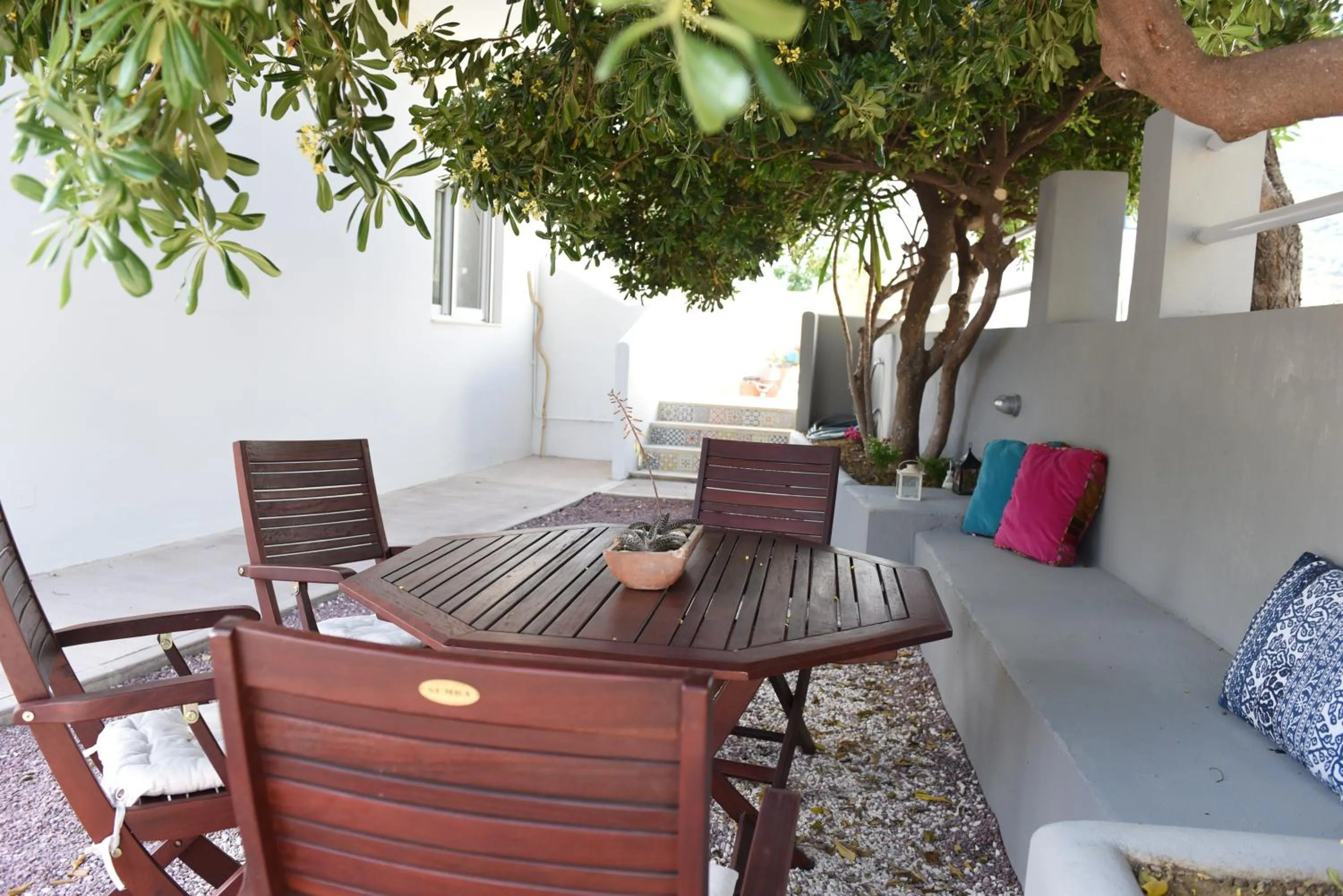 Garden in Dimitris' & Valentina's Home