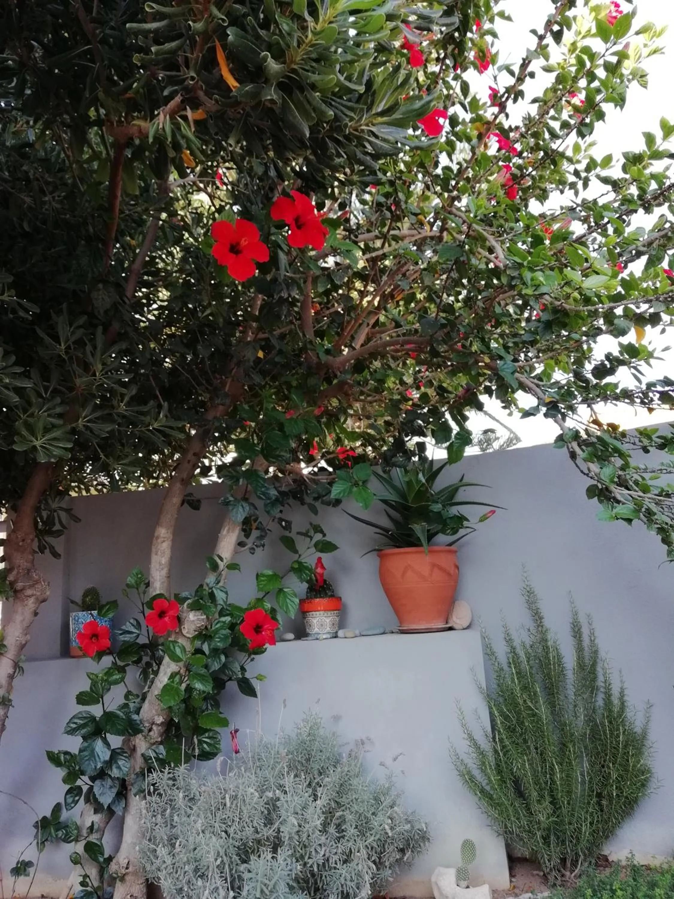Dimitris' & Valentina's Home
