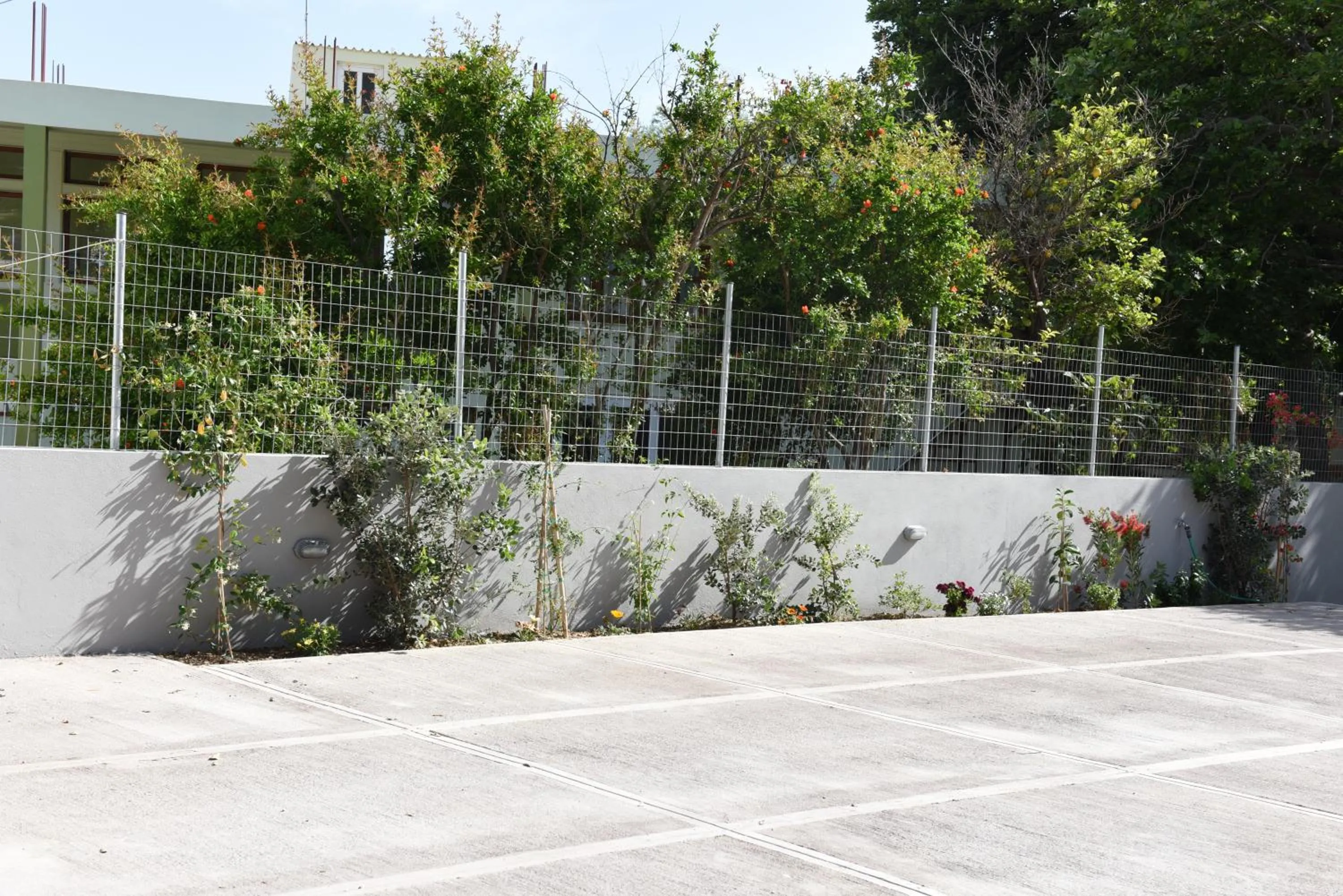 Garden in Dimitris' & Valentina's Home